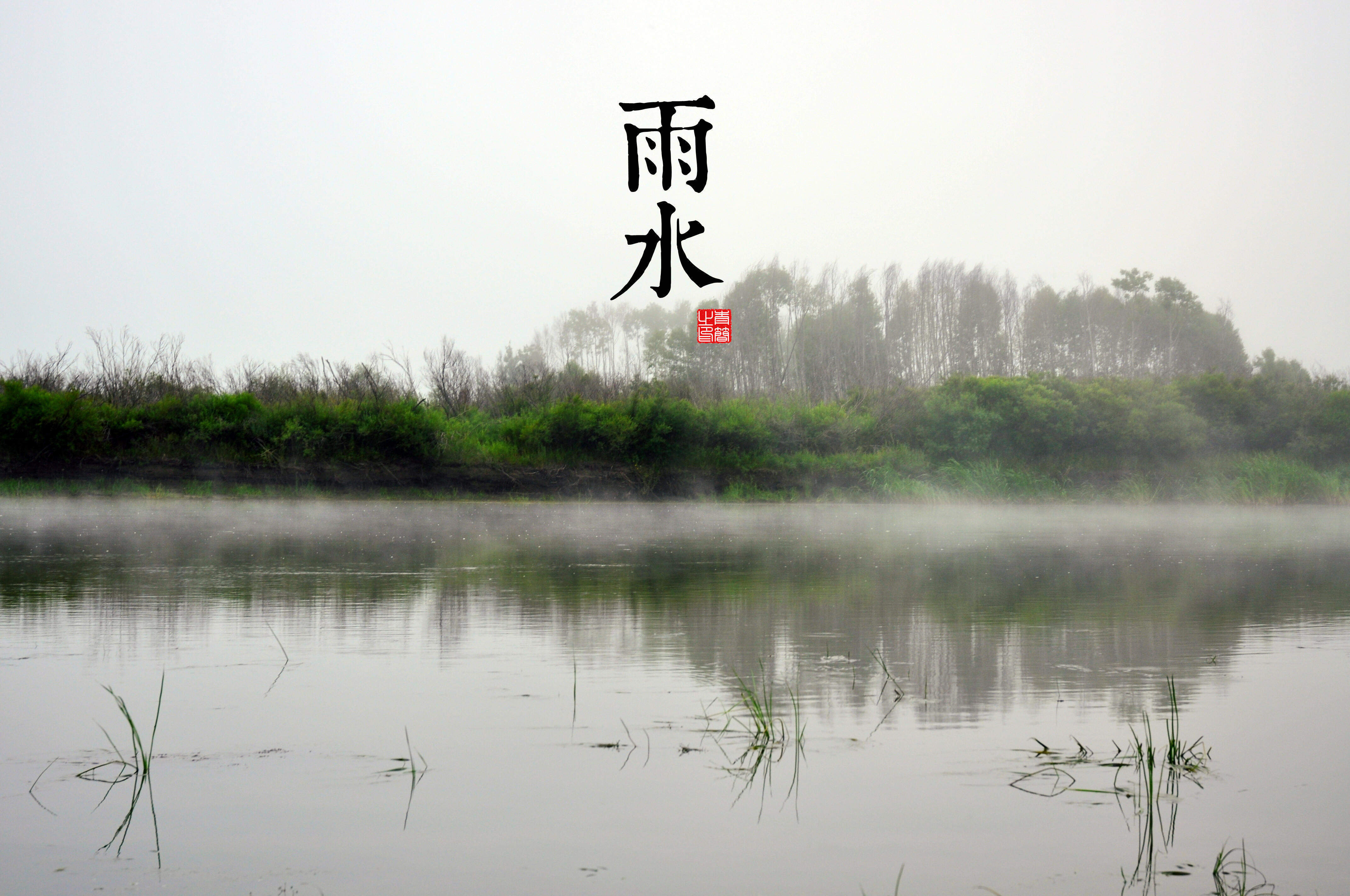 美女明星李晟桌面超清壁纸图片