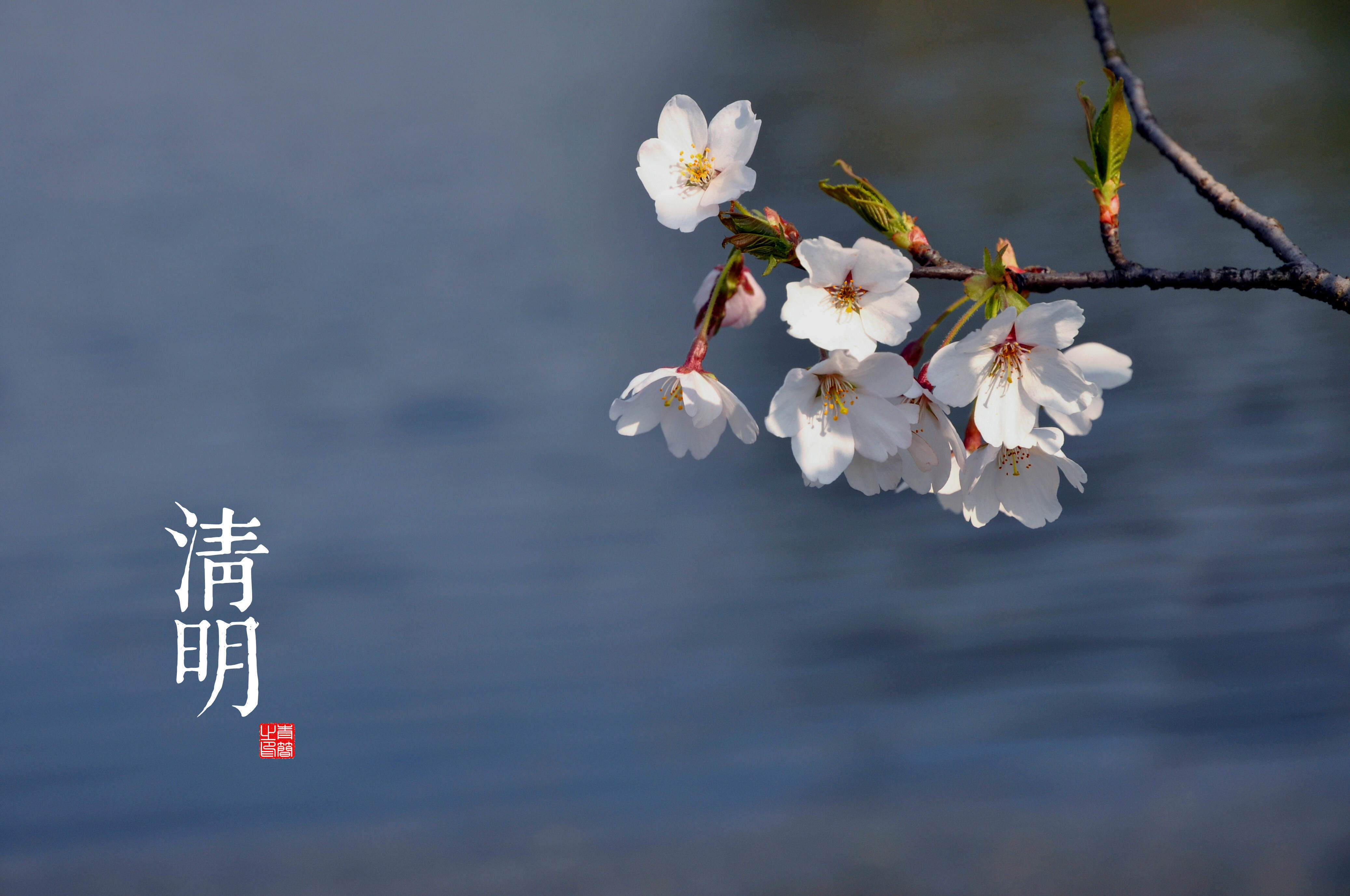 魔道祖师超清壁纸图片图片