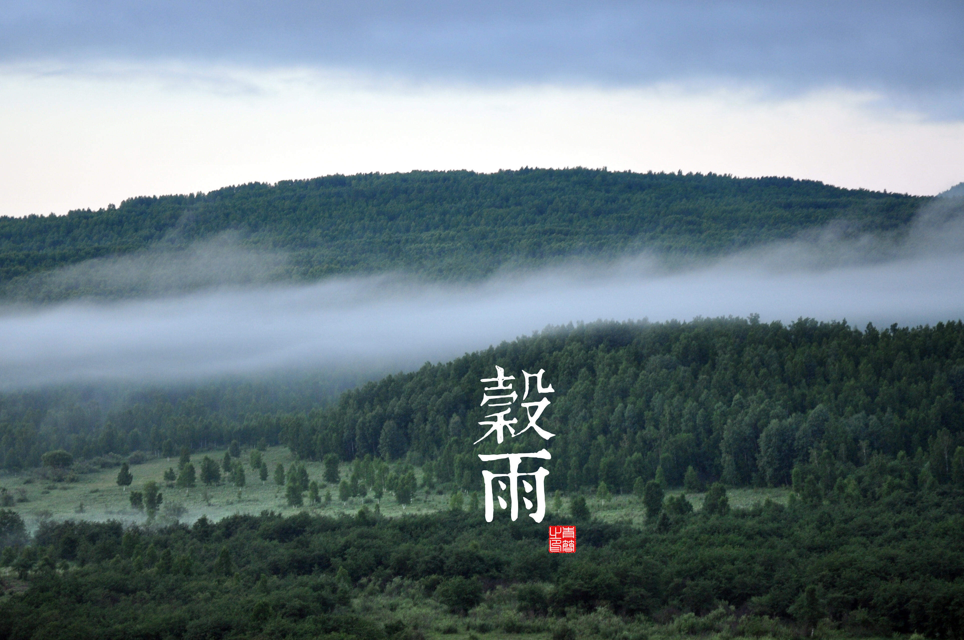 魔道祖师超清壁纸图片图片