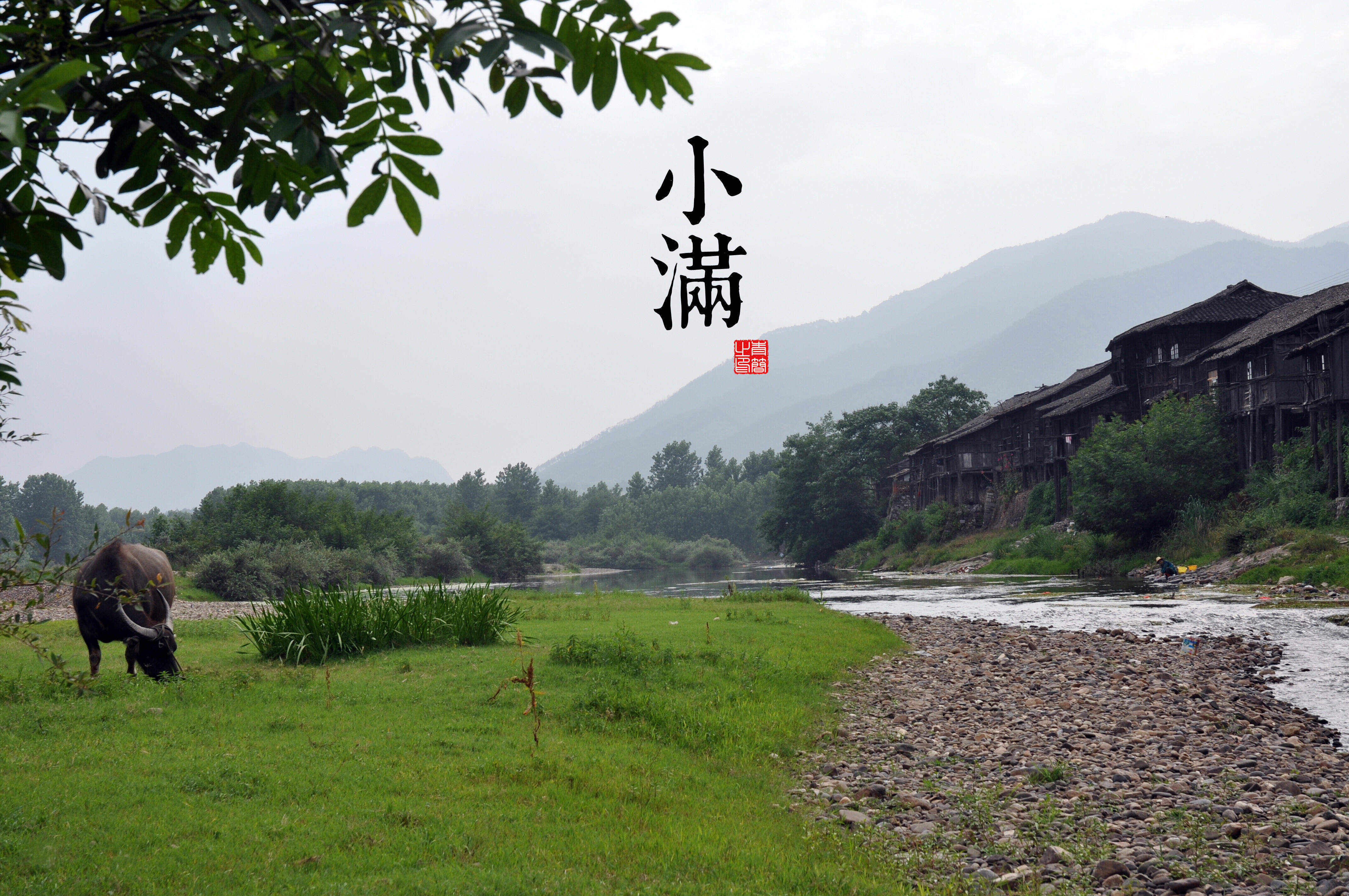魔道祖师超清壁纸图片图片
