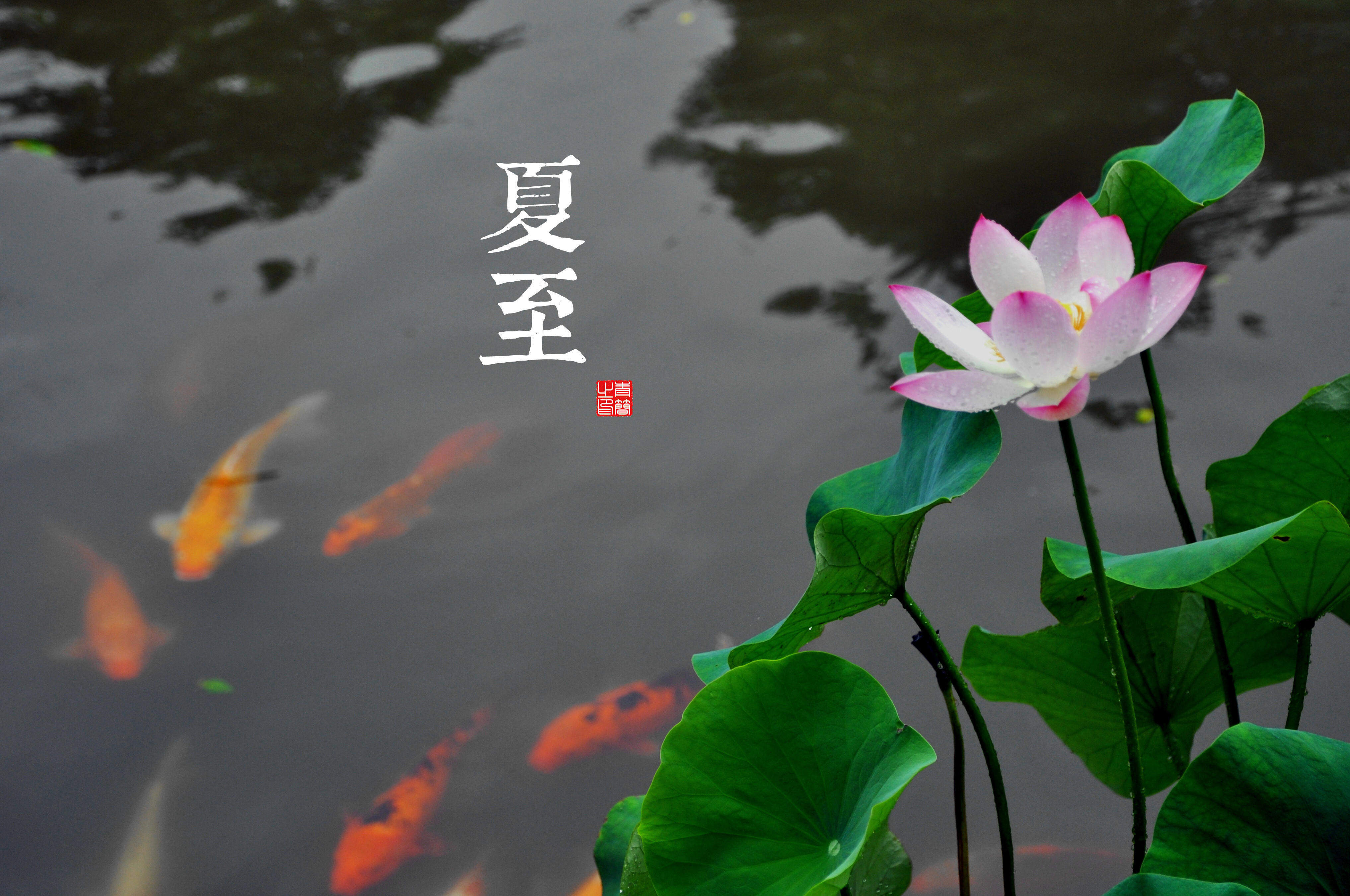 《英雄联盟》LOL星之守护者原画超清壁纸图片图片