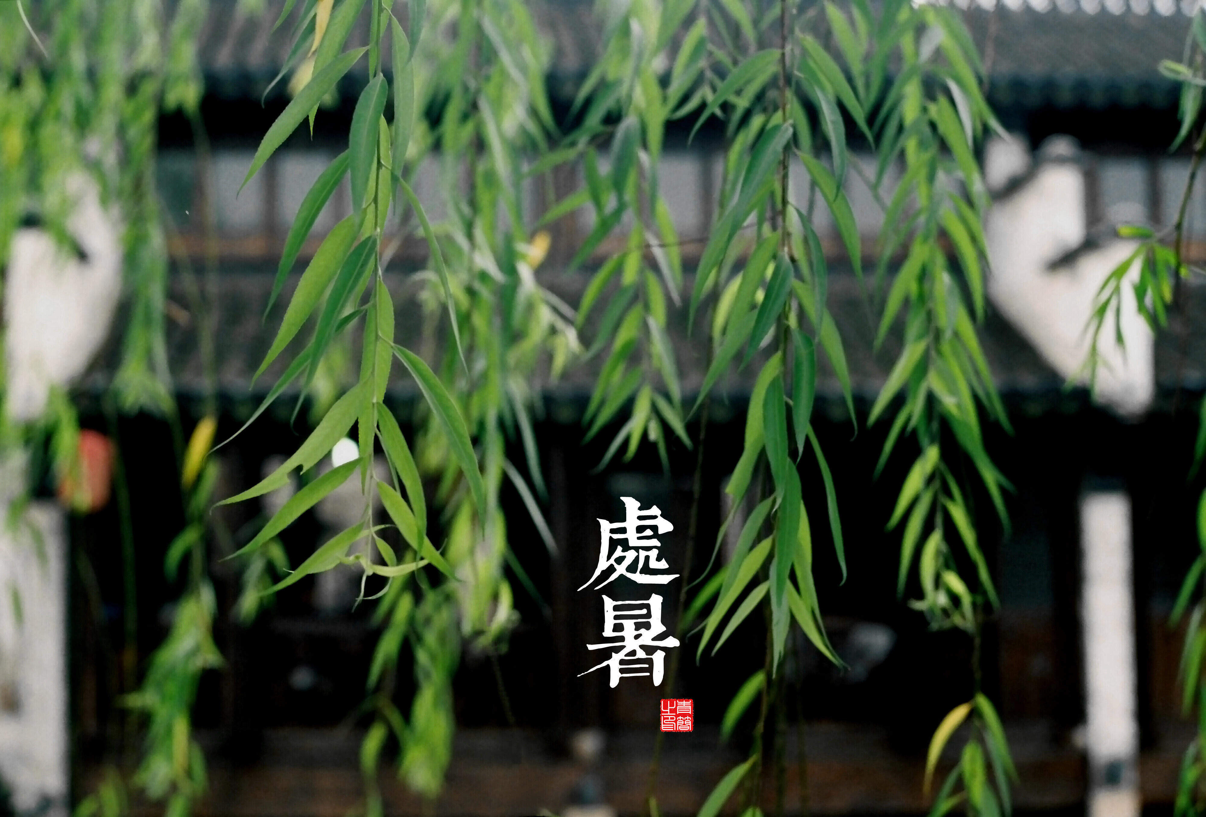 美女明星李晟桌面超清壁纸图片
