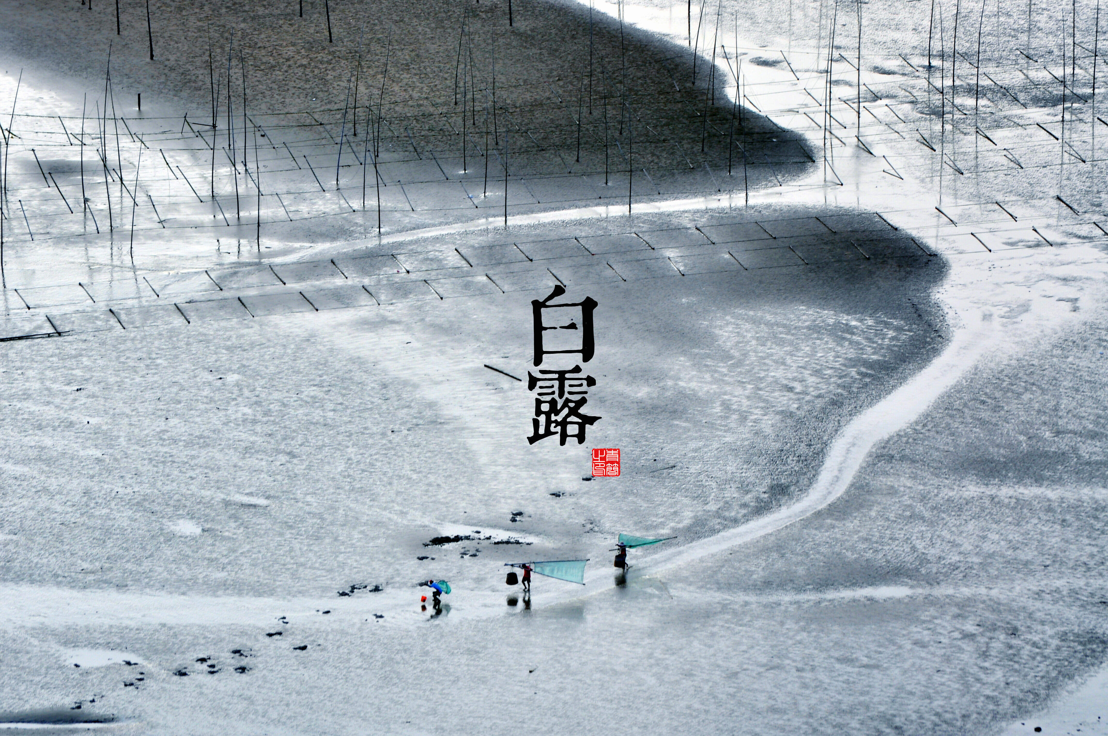 魔道祖师超清壁纸图片图片