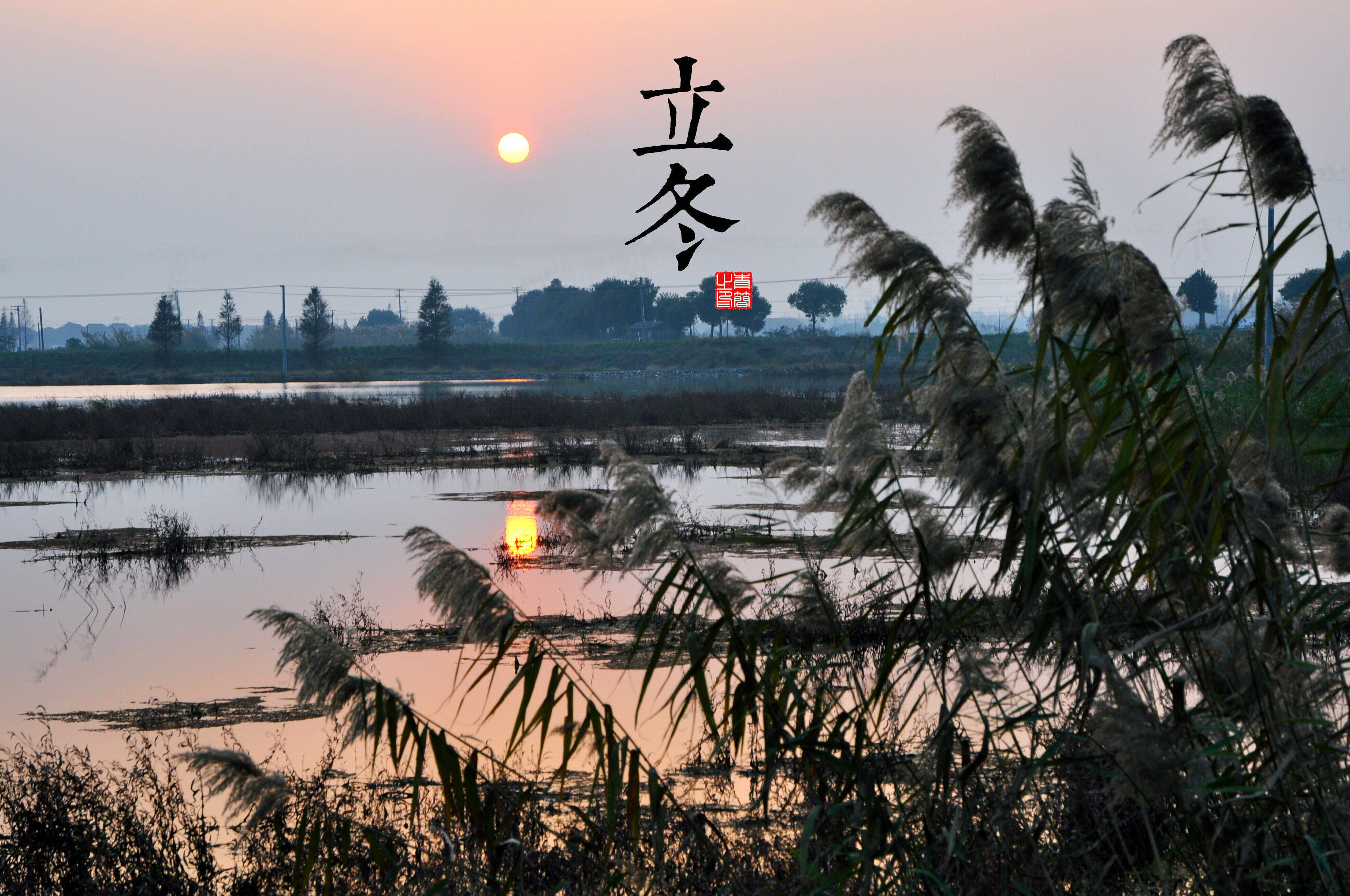 魔道祖师超清壁纸图片图片