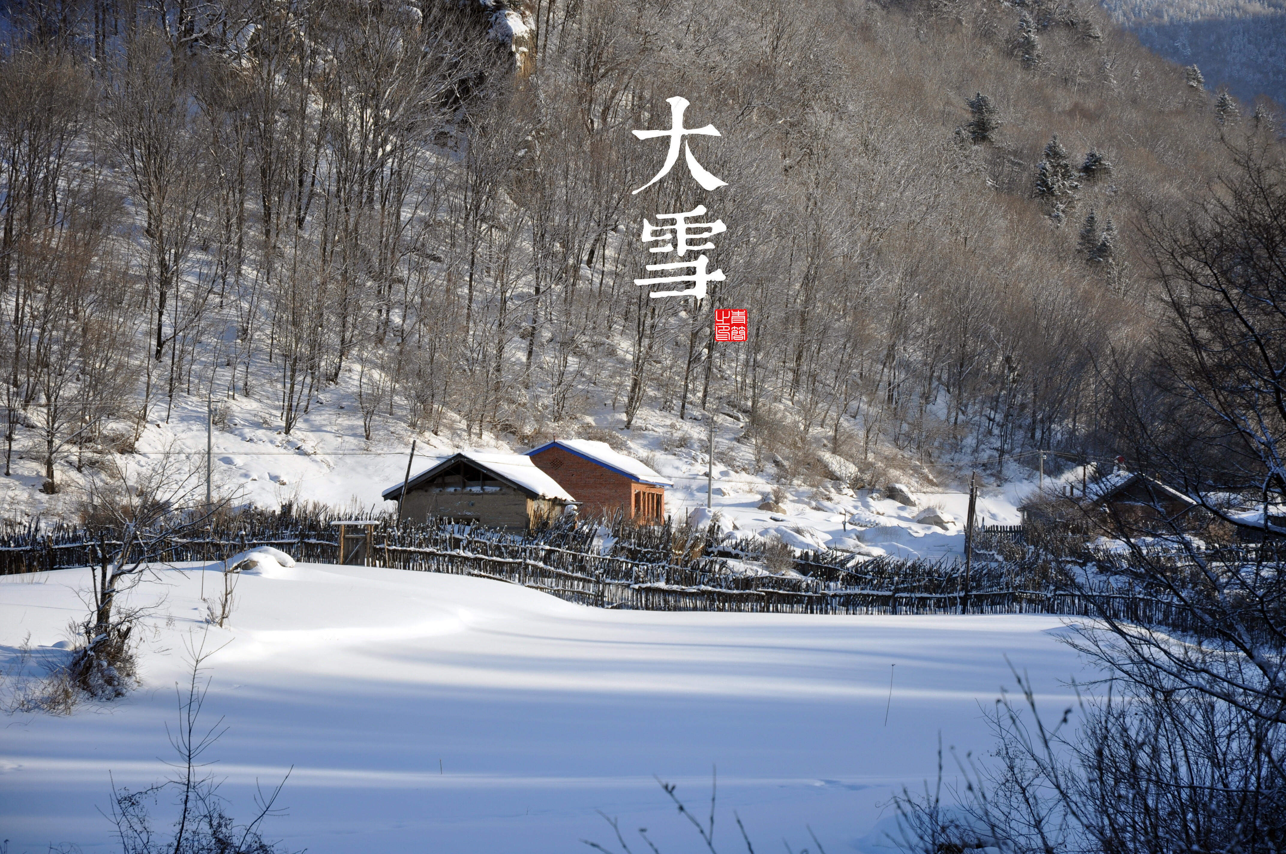 元旦新春中国结高清桌面壁纸图片