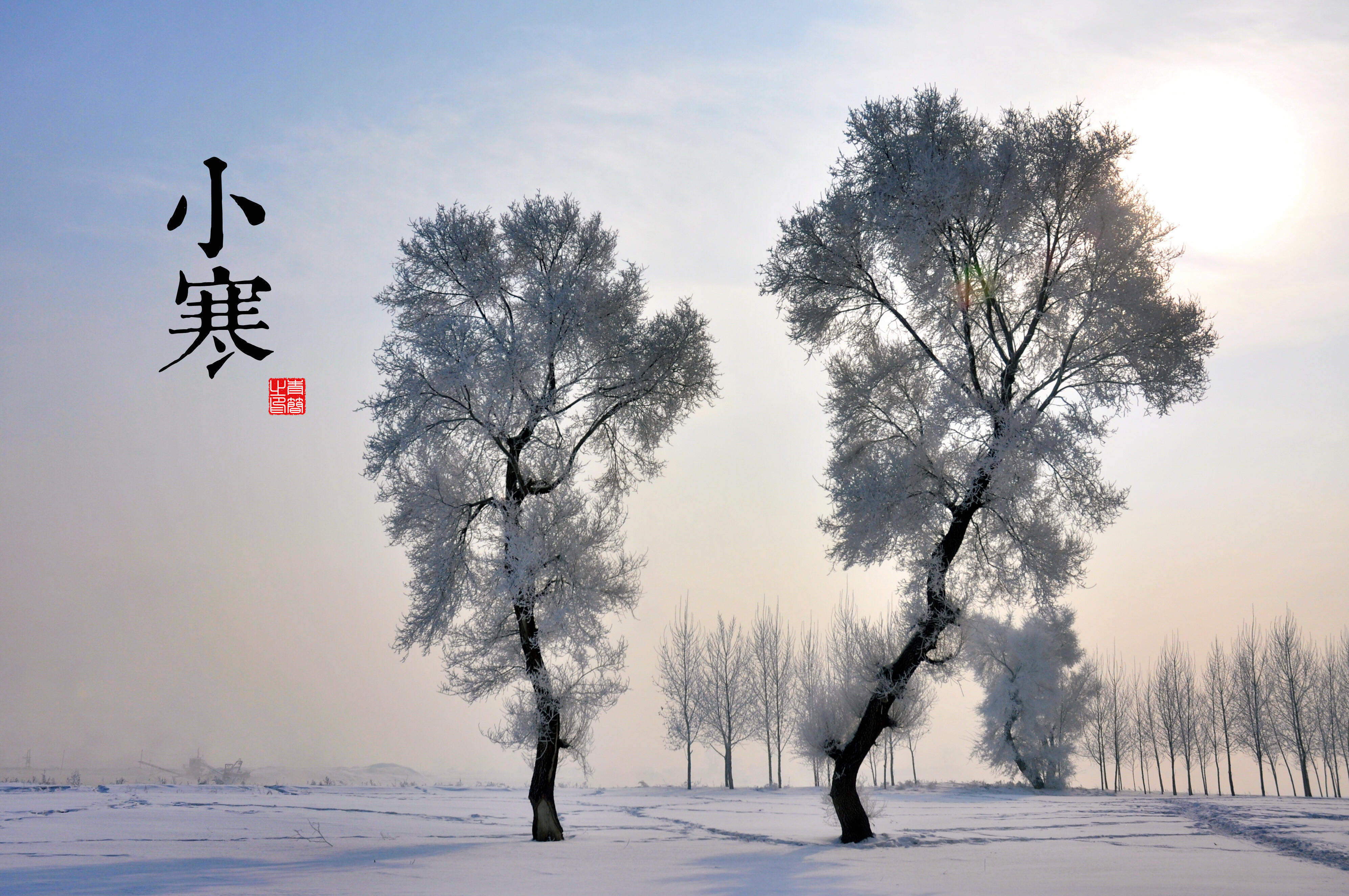 魔道祖师超清壁纸图片图片