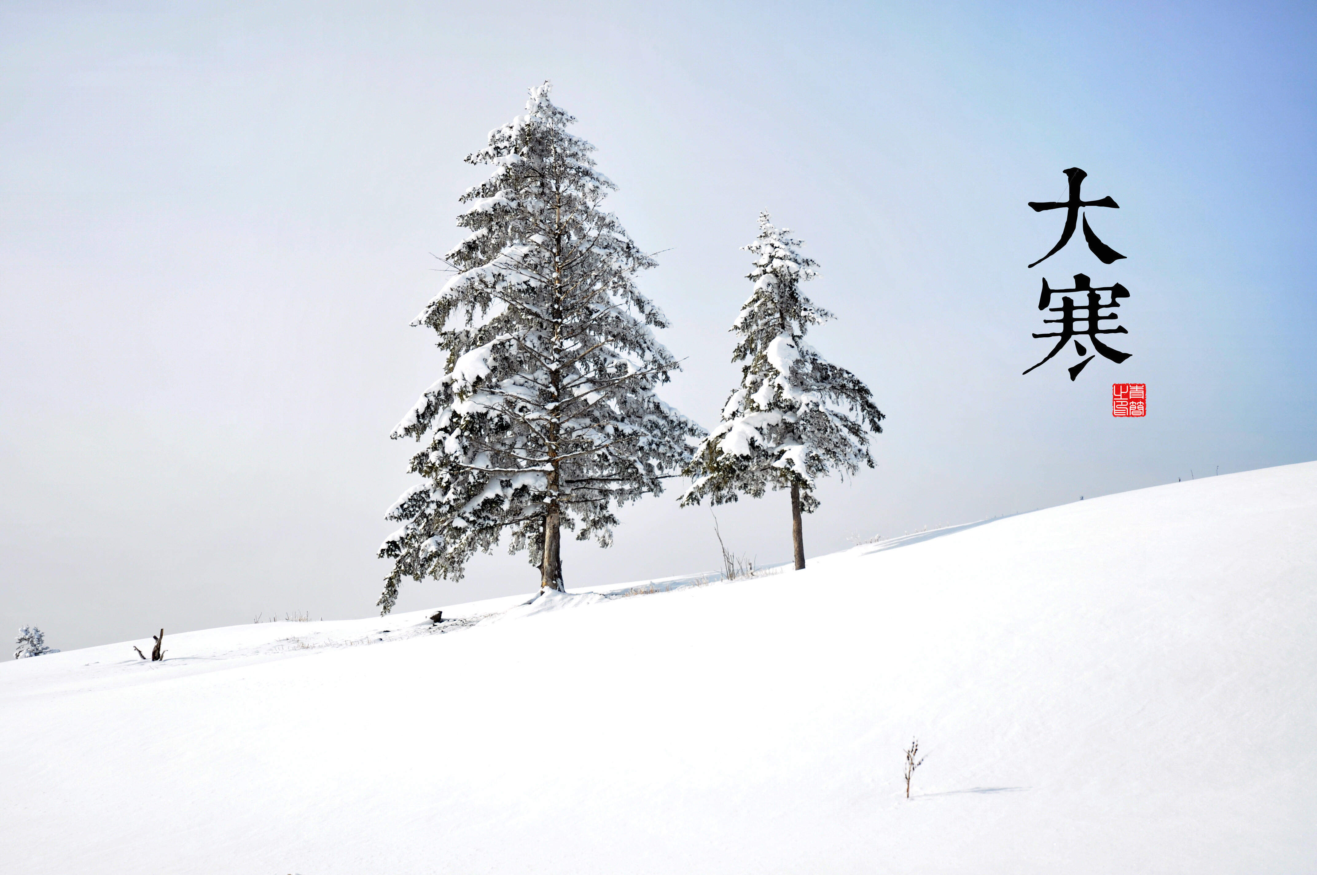 魔道祖师超清壁纸图片图片