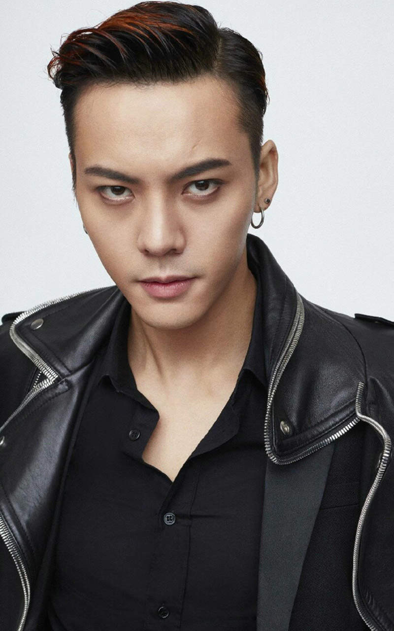 中国香港华语影视男演员歌手陈伟霆第四张个人专辑《headsortails》宣传写真图片陈伟霆专辑封面写真图片图片