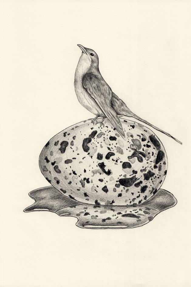 以色列插画师Tahel Maor清新可爱手机壁纸图片