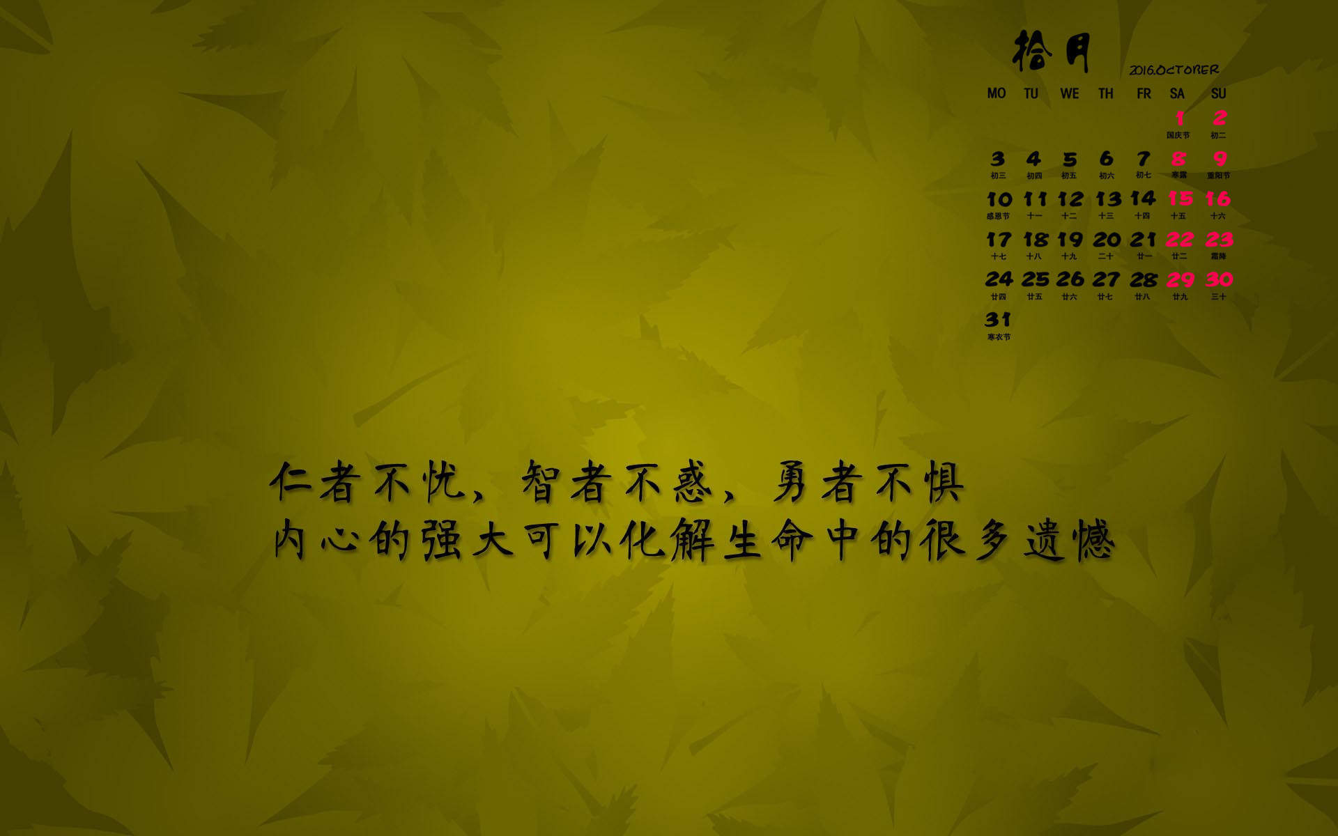 哈咪猫减肥励志手机壁纸图片