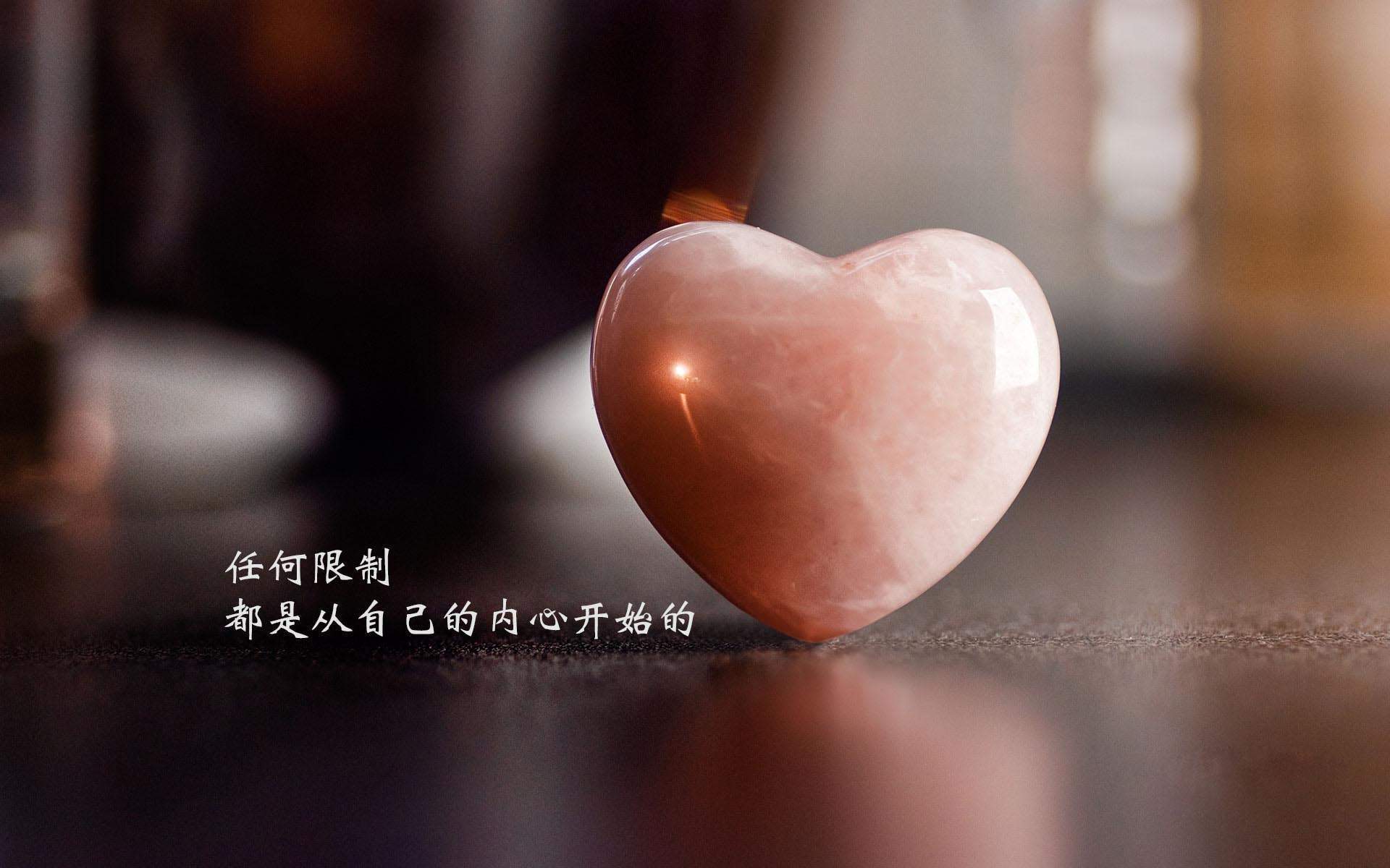 哈咪猫减肥励志手机壁纸图片