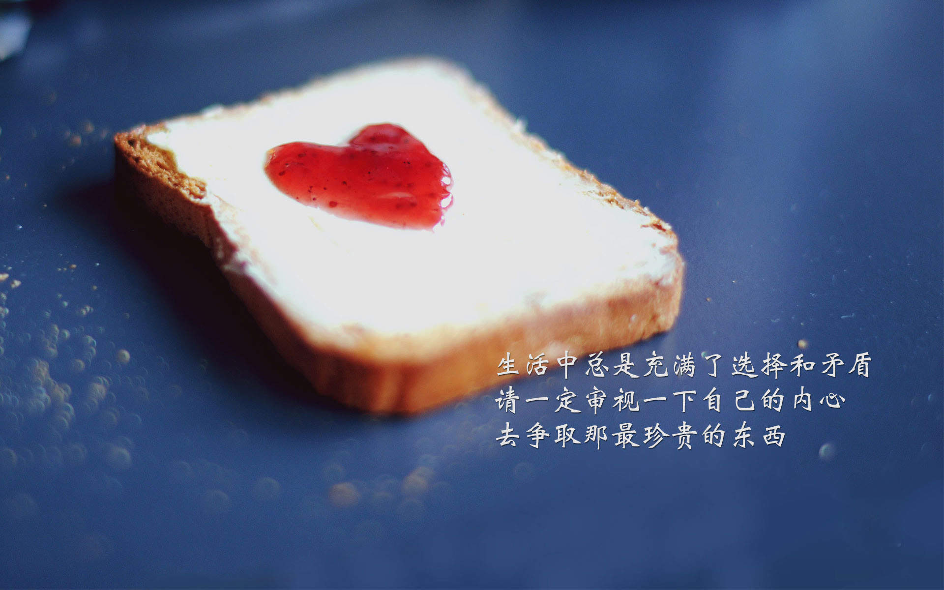 哈咪猫减肥励志手机壁纸图片