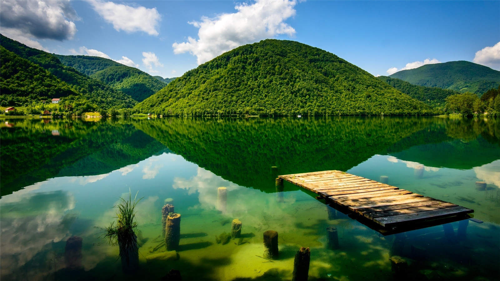 精选绿色草原自然风景桌面壁纸图片