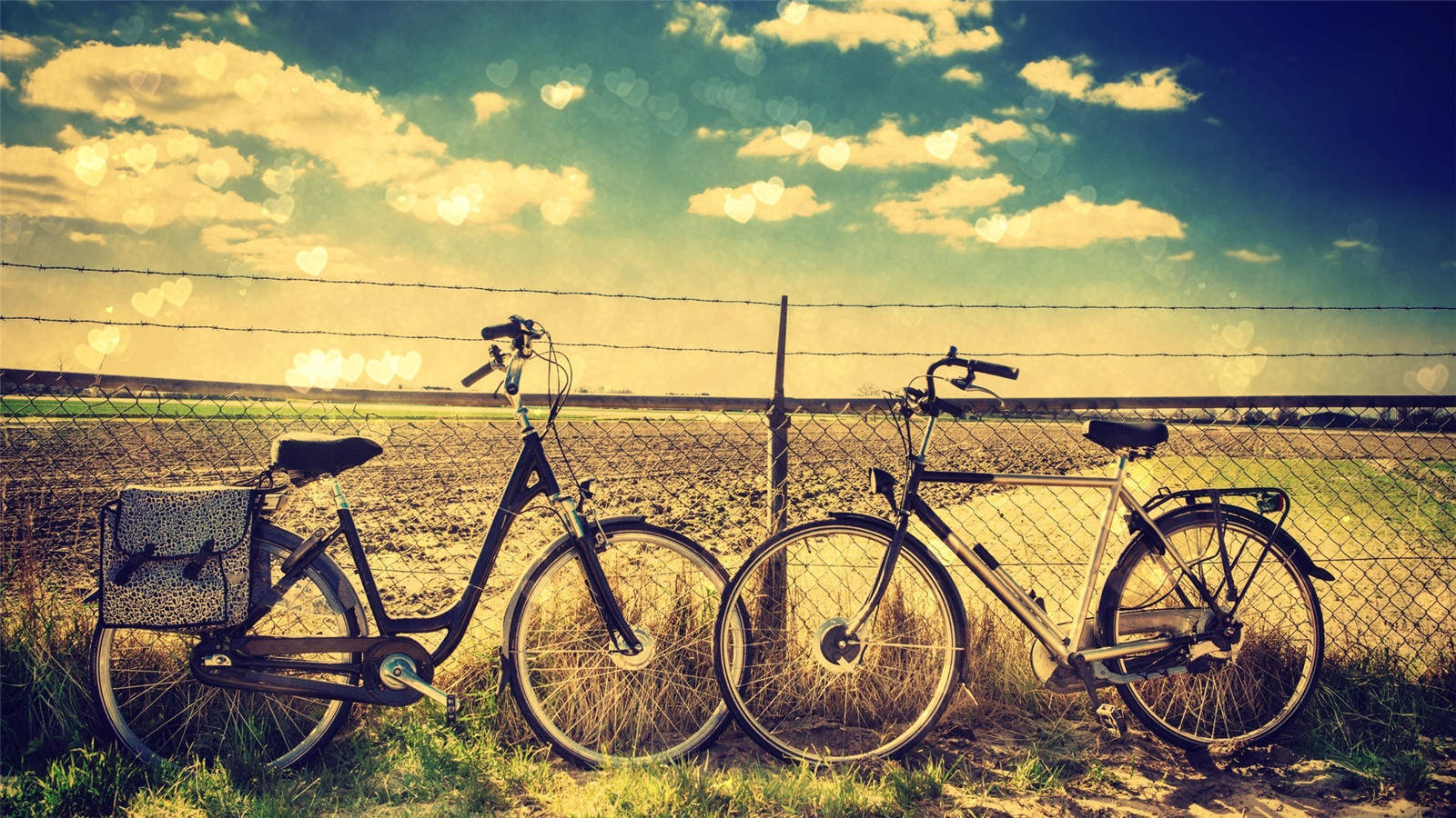 大草原图片