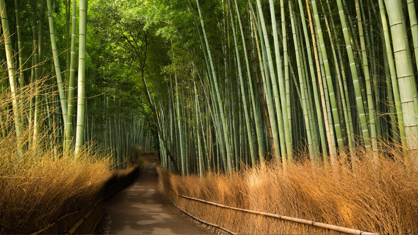 山水风景图片