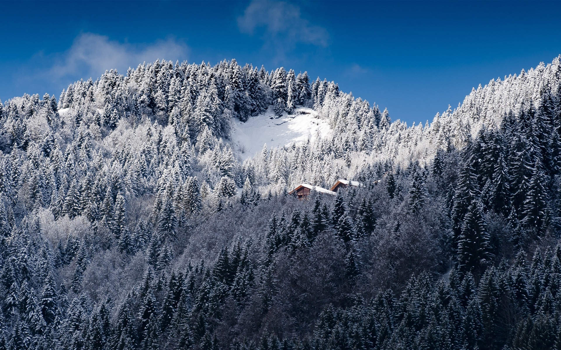 风景白雪图片