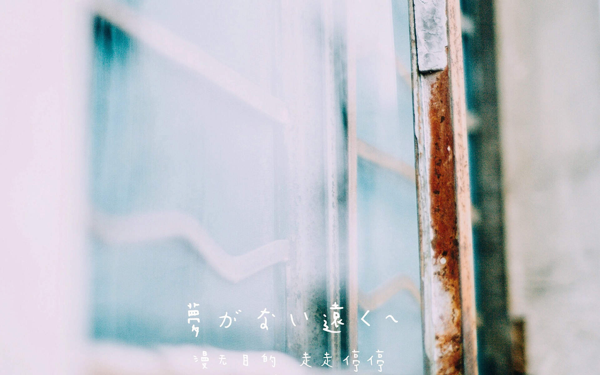 春风十里不如你唯美意境图片手机壁纸图片