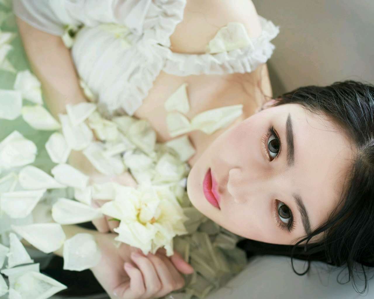 大陆女明星清新美女治愈系清纯唯美白皙高清桌面壁纸图片