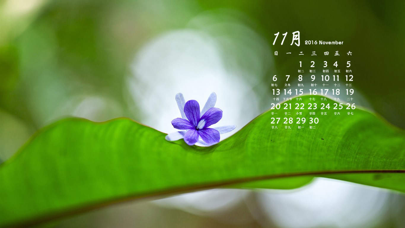 2019年12月文艺小清新绿色桌面日历壁纸图片