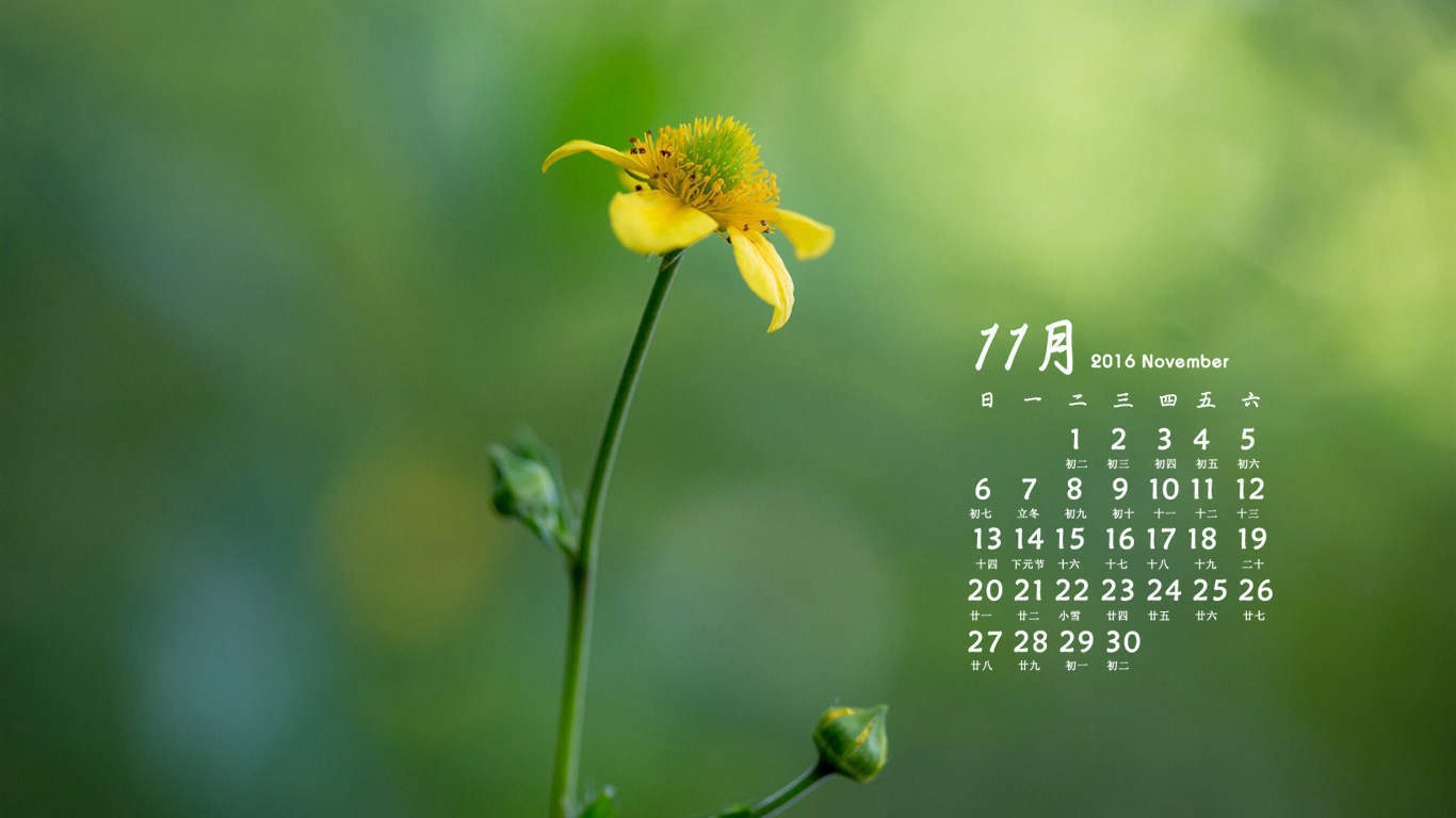 2020年6月简约护眼绿色桌面日历壁纸图片