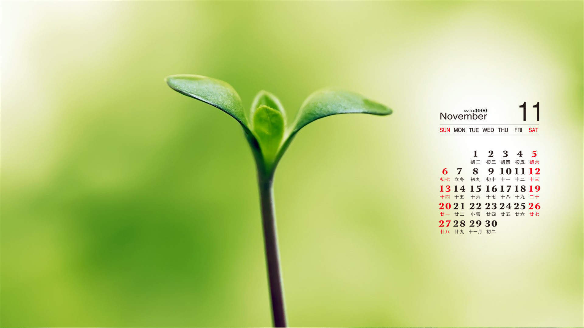 2019年12月文艺小清新绿色桌面日历壁纸图片
