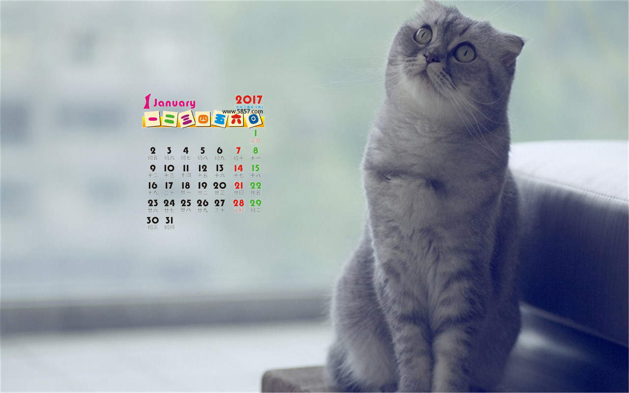 2017年全年日历动物桌面壁纸图片