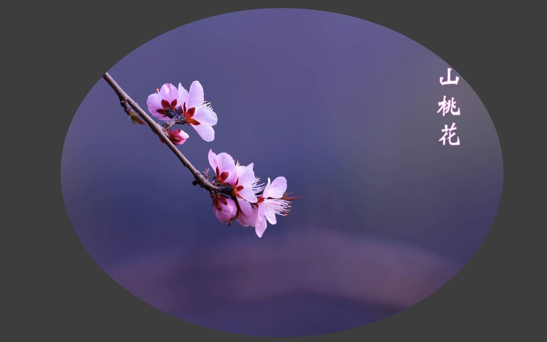 唯美意境风景图片图片
