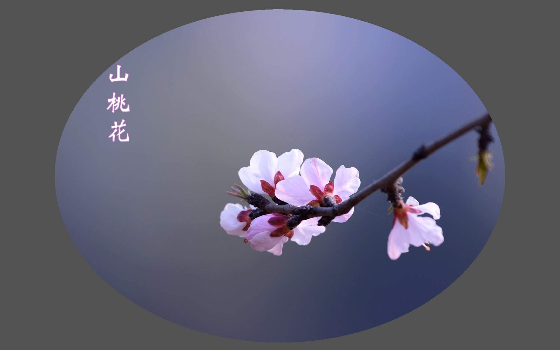 唯美意境风景图片图片