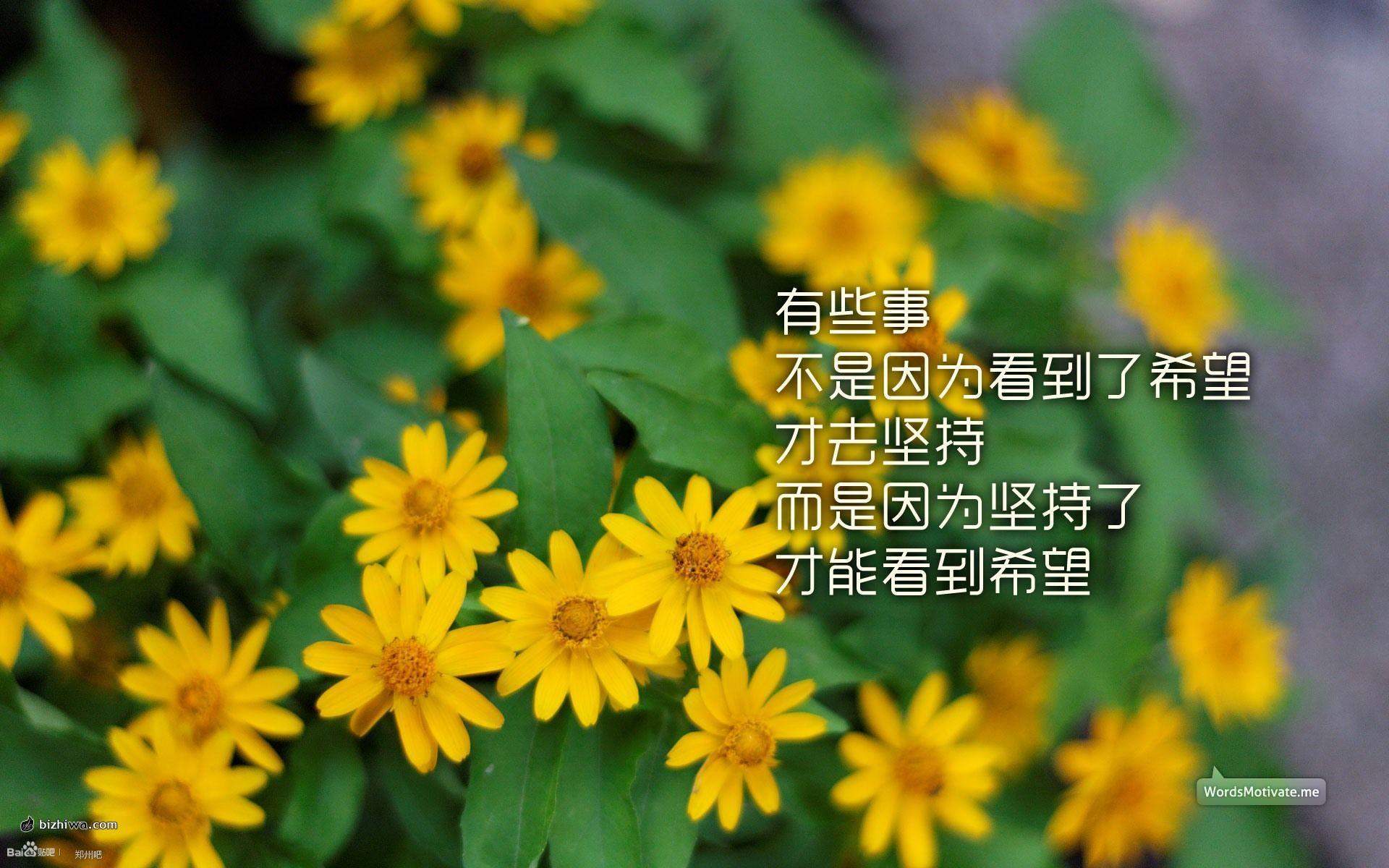 精选励志文字语录创意图片手机壁纸图片