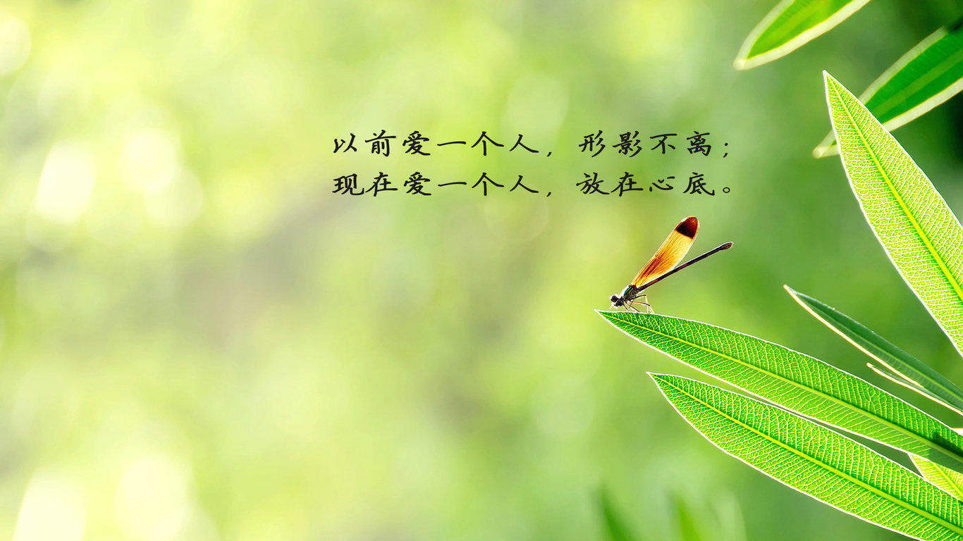 小清新唯美意境图片手机壁纸图片