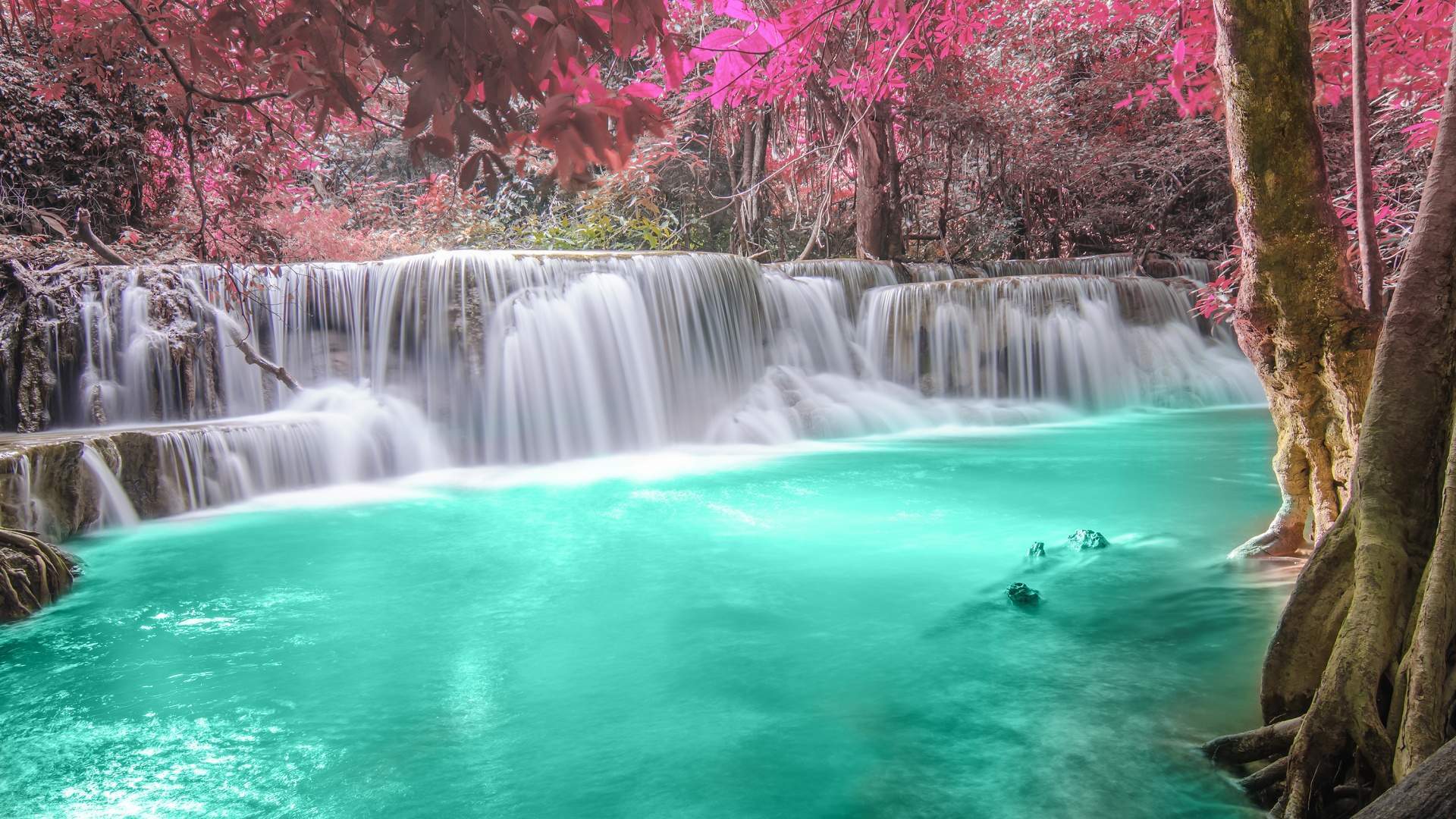 唯美大海手机风景壁纸图片图片