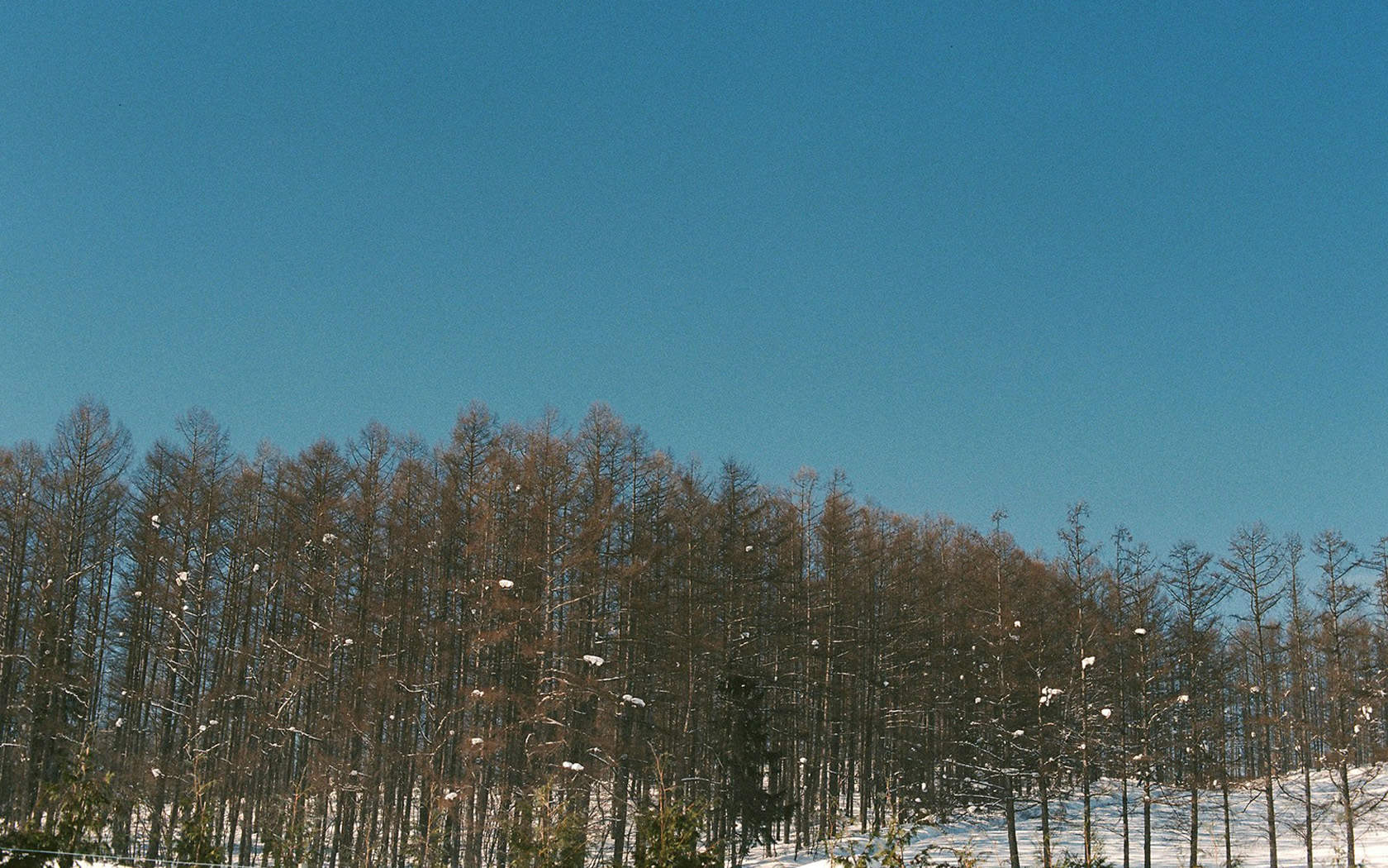 雪景桌面图片