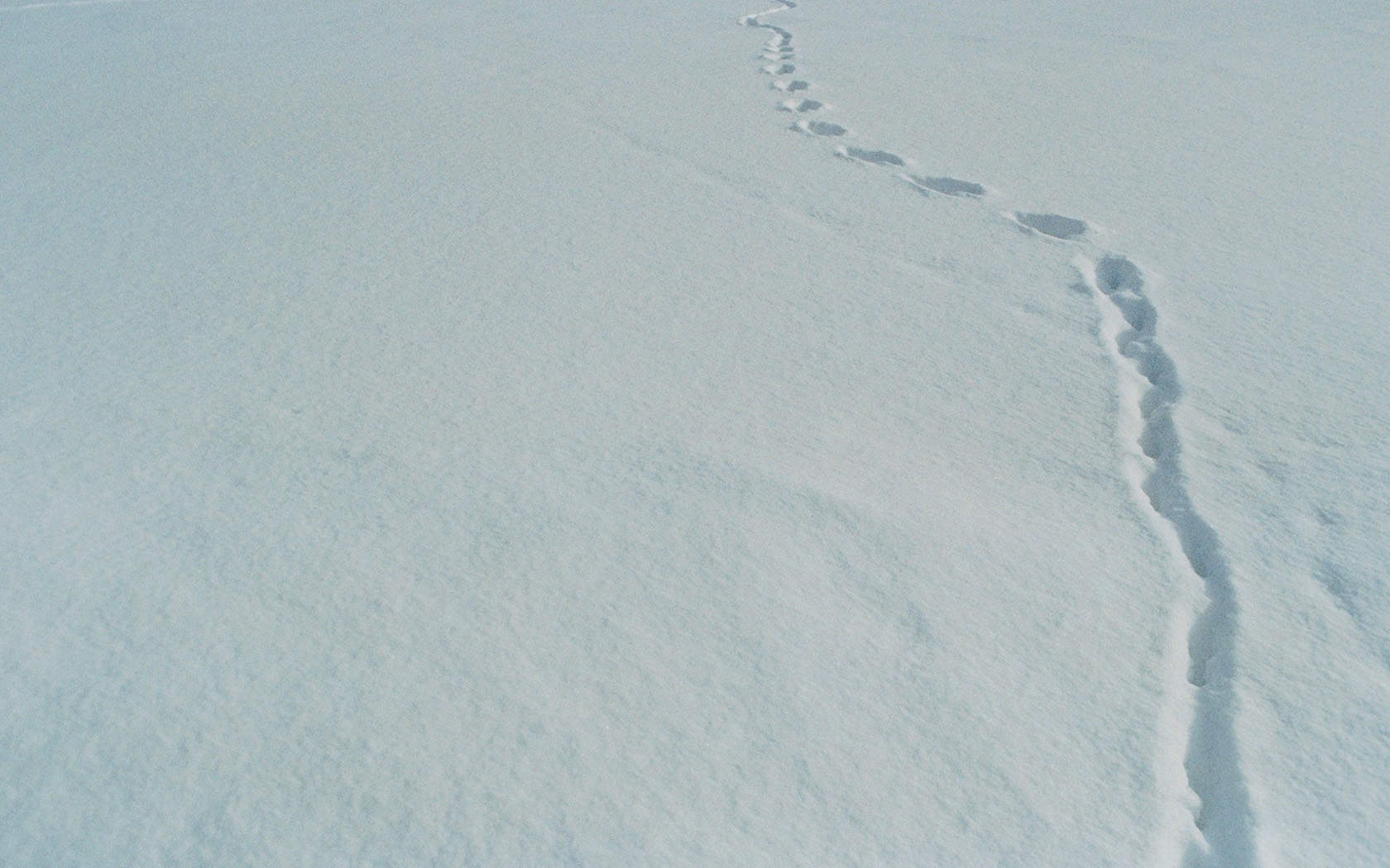 雪景桌面图片