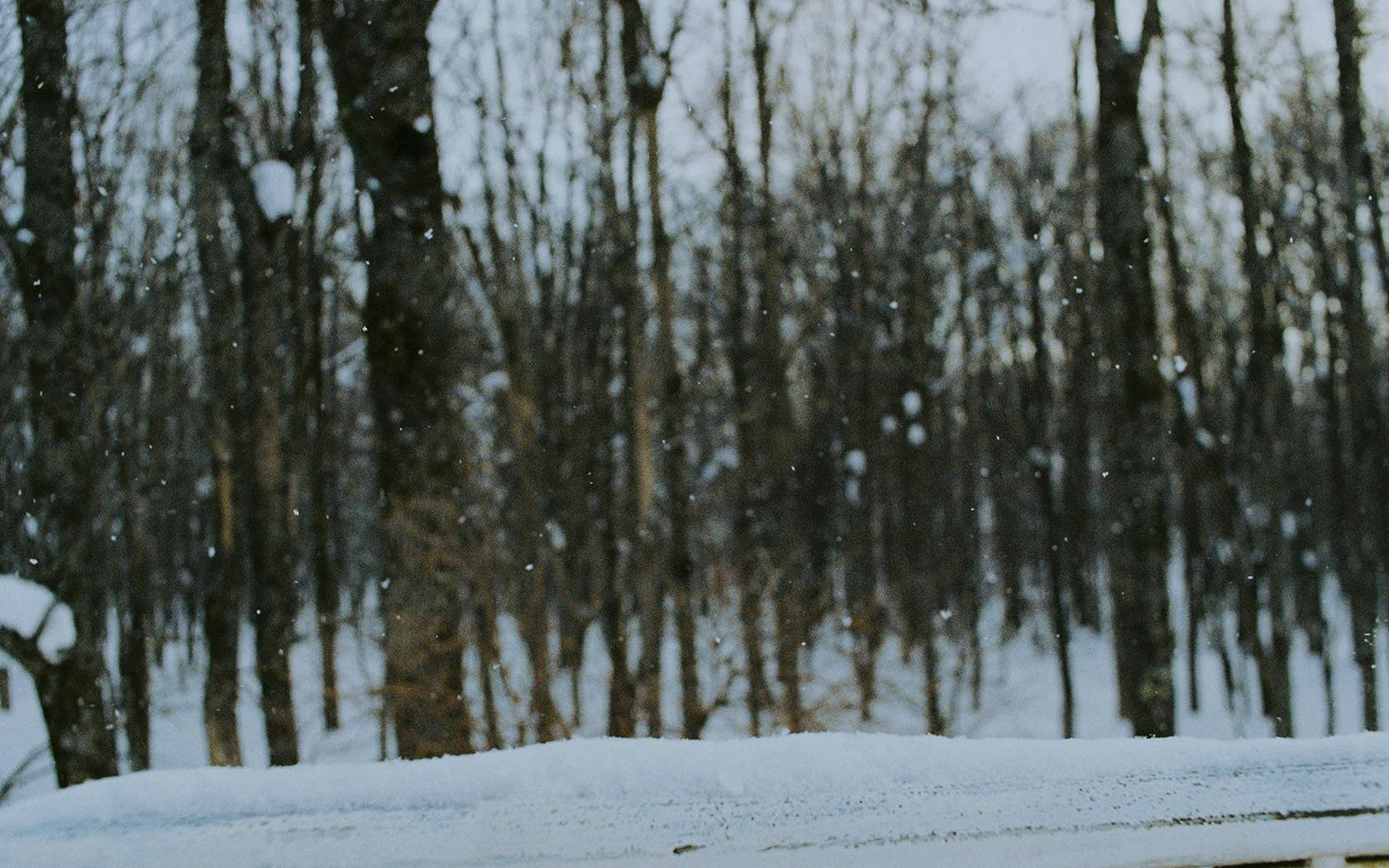 雪景桌面图片