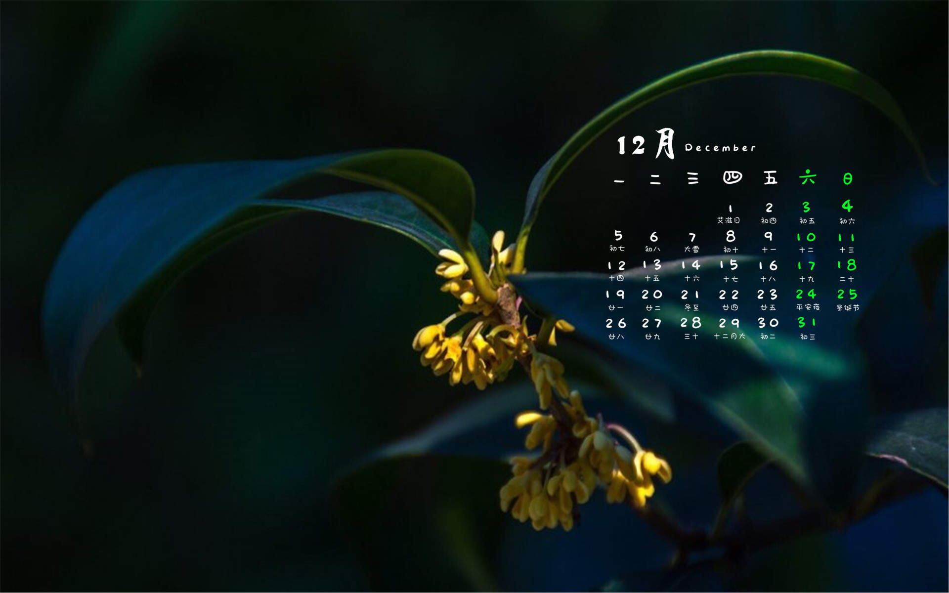 灵谷寺·秋桂花香图片：桂花飘香沁人肺腑图片
