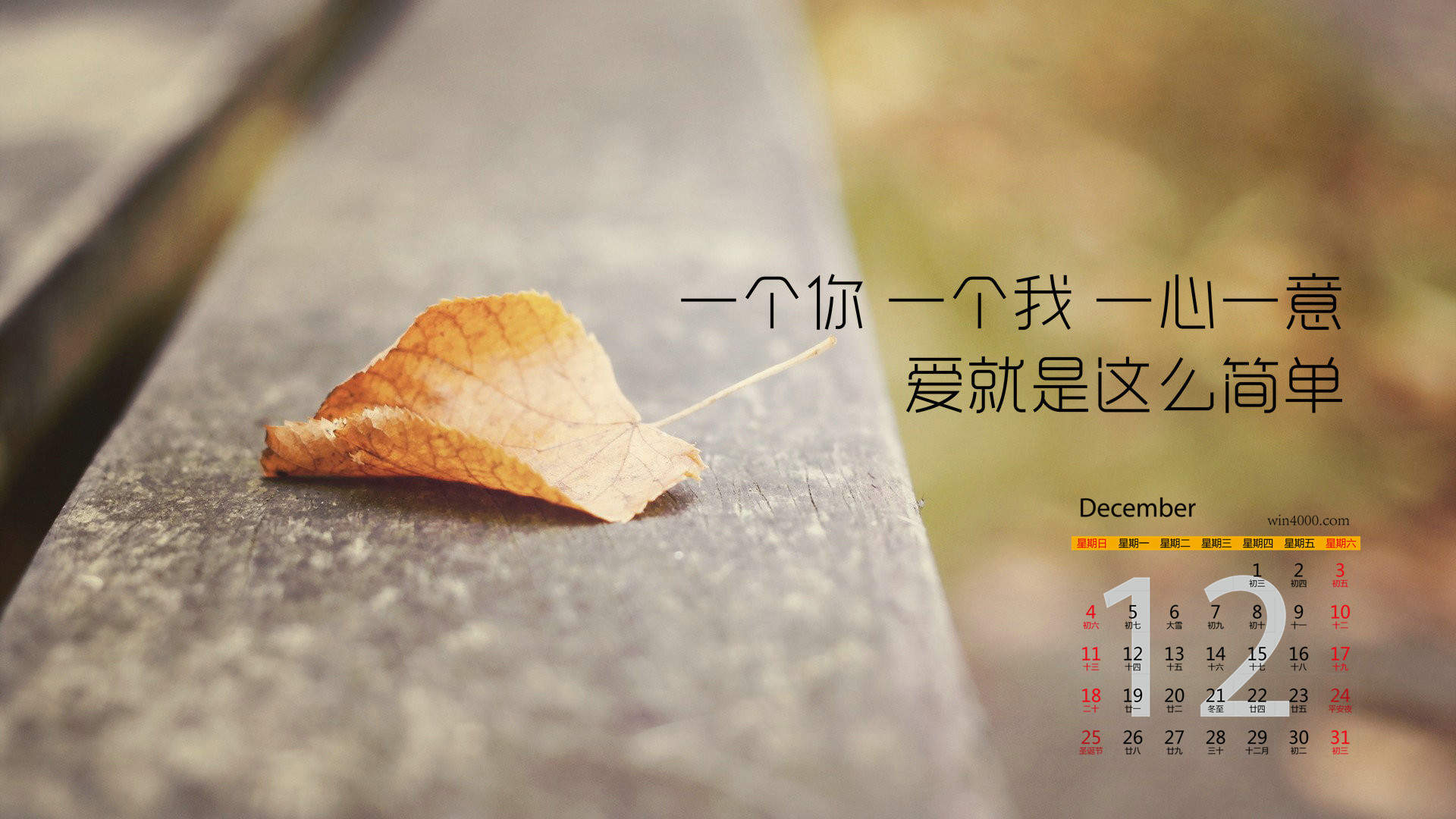 我想和你好好的公映 冯绍峰倪妮演绎浪漫爱情图片