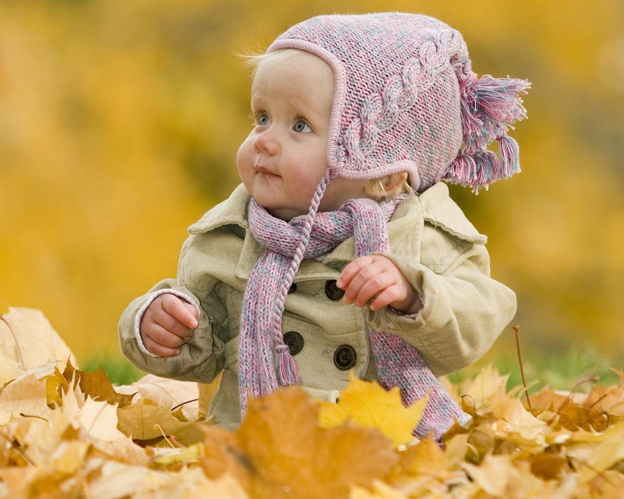 可爱宝宝高清桌面壁纸图片