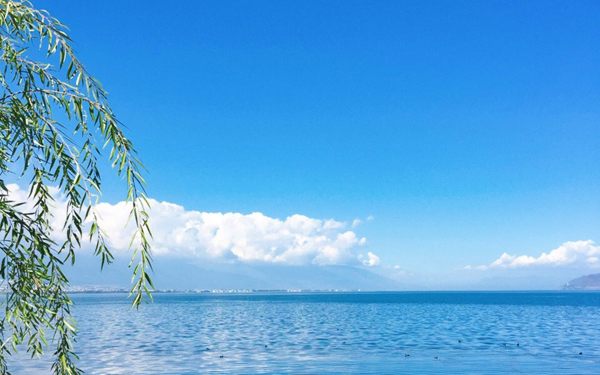 蔚蓝的天空朵朵白云唯美自然风景桌面壁纸图片