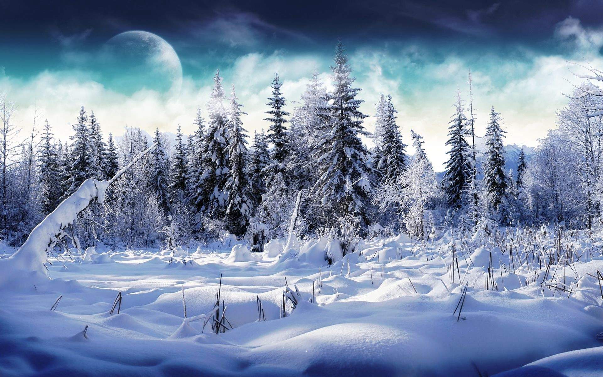 风景白雪图片