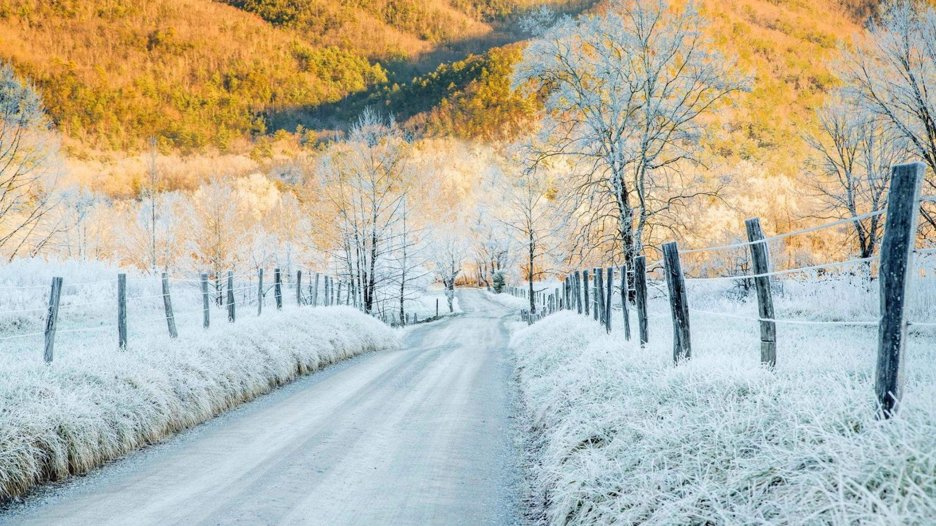 风景白雪图片
