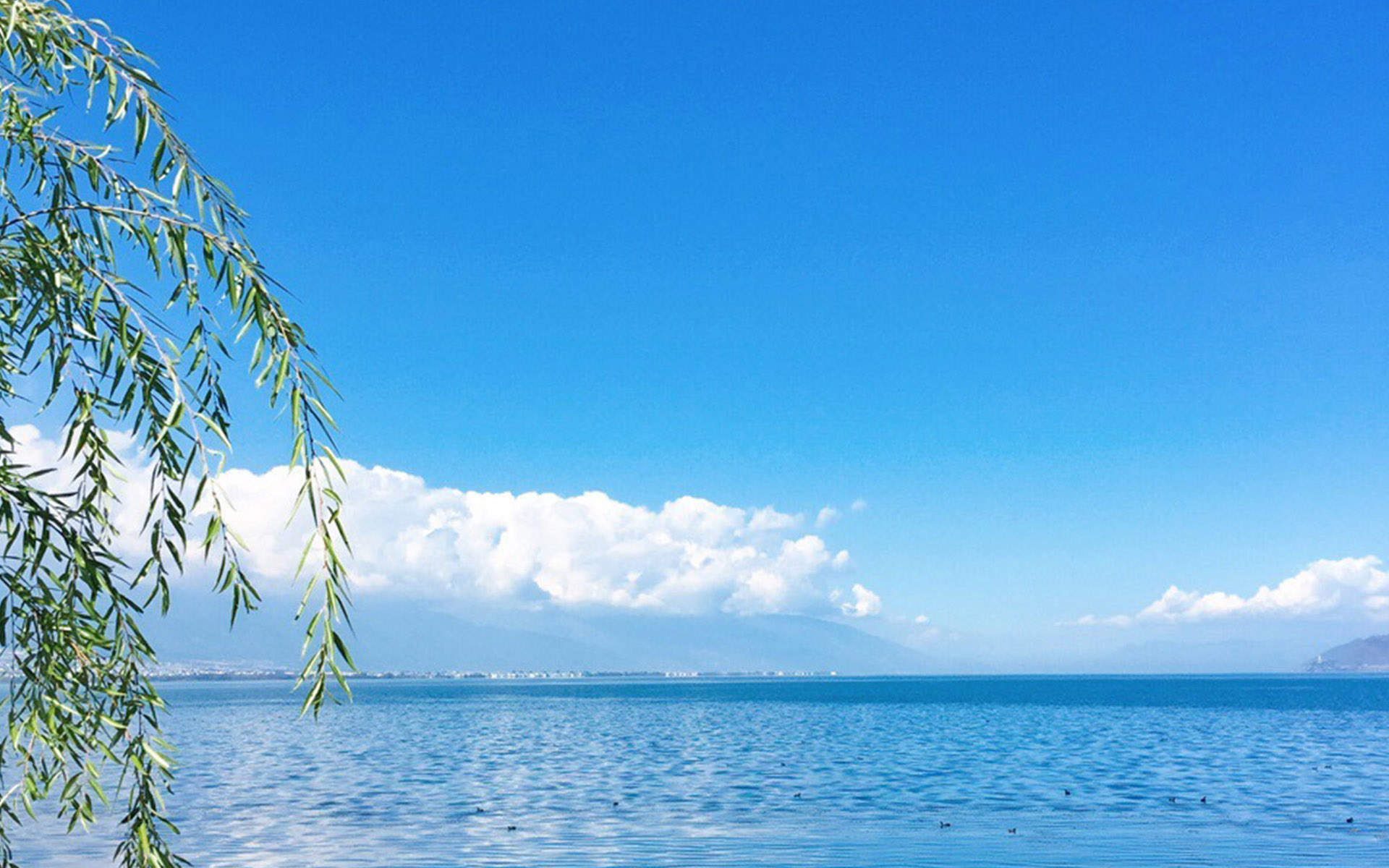 湖泊图片