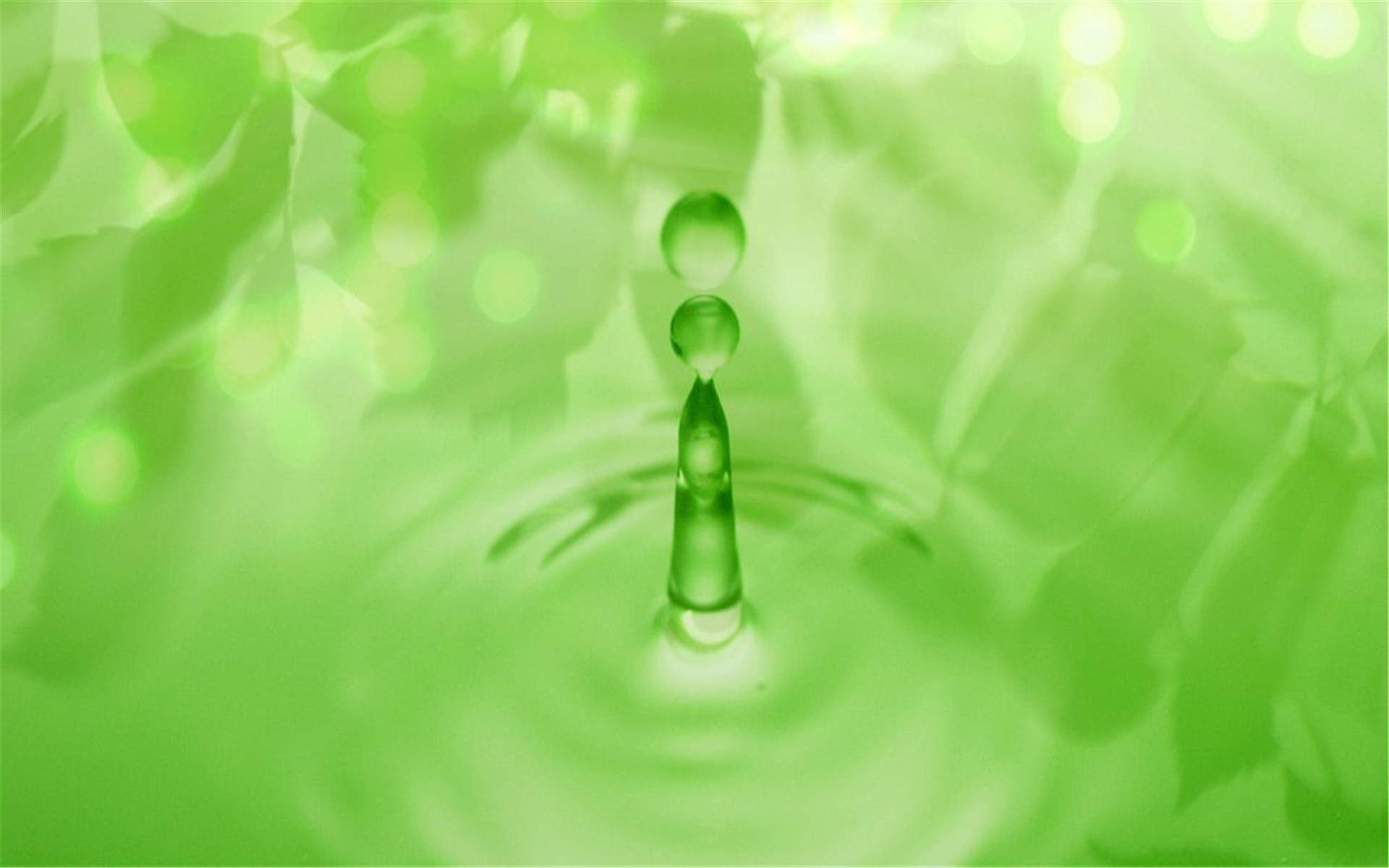 高清雨水清新护眼绿色水滴露珠高清桌面壁纸图片