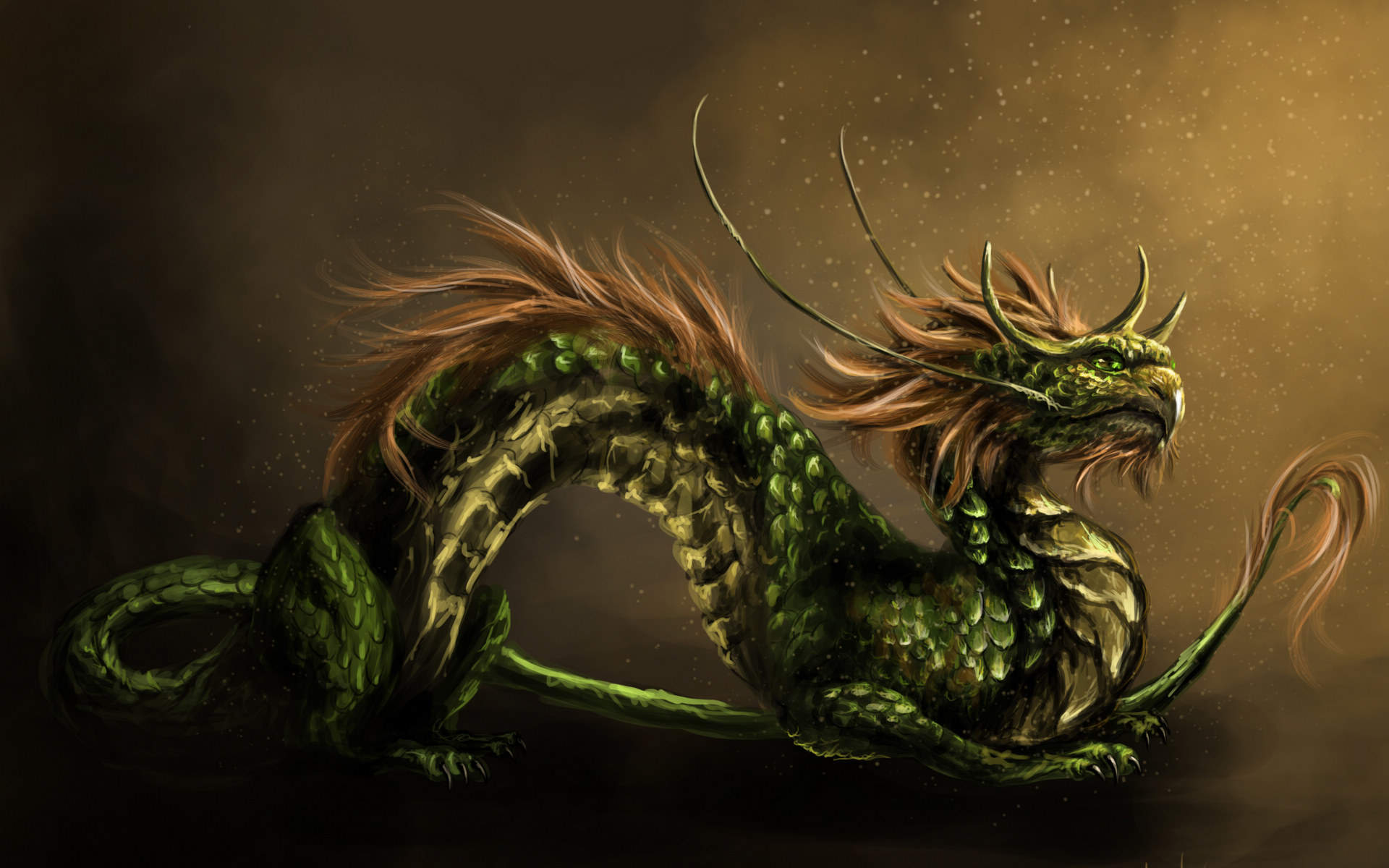 龙图片图片