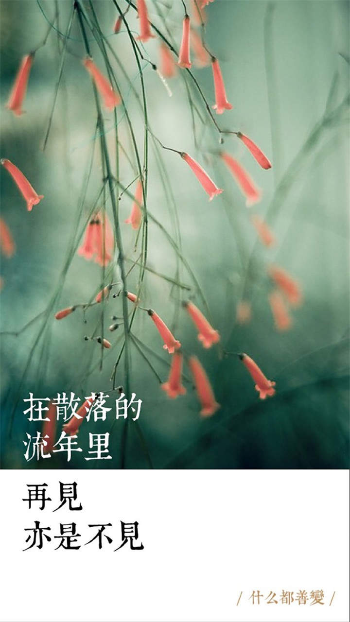 唯美伤感励志的文字图片手机壁纸下载图片