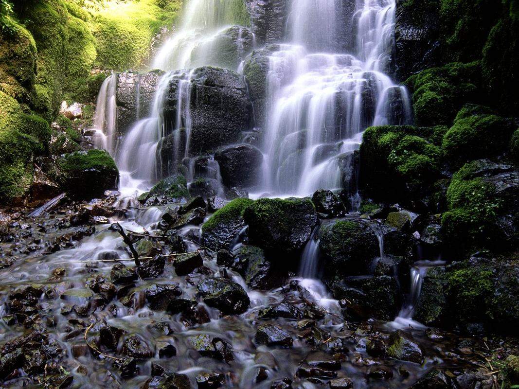 清新自然的山水树林风景图片桌面壁纸图片
