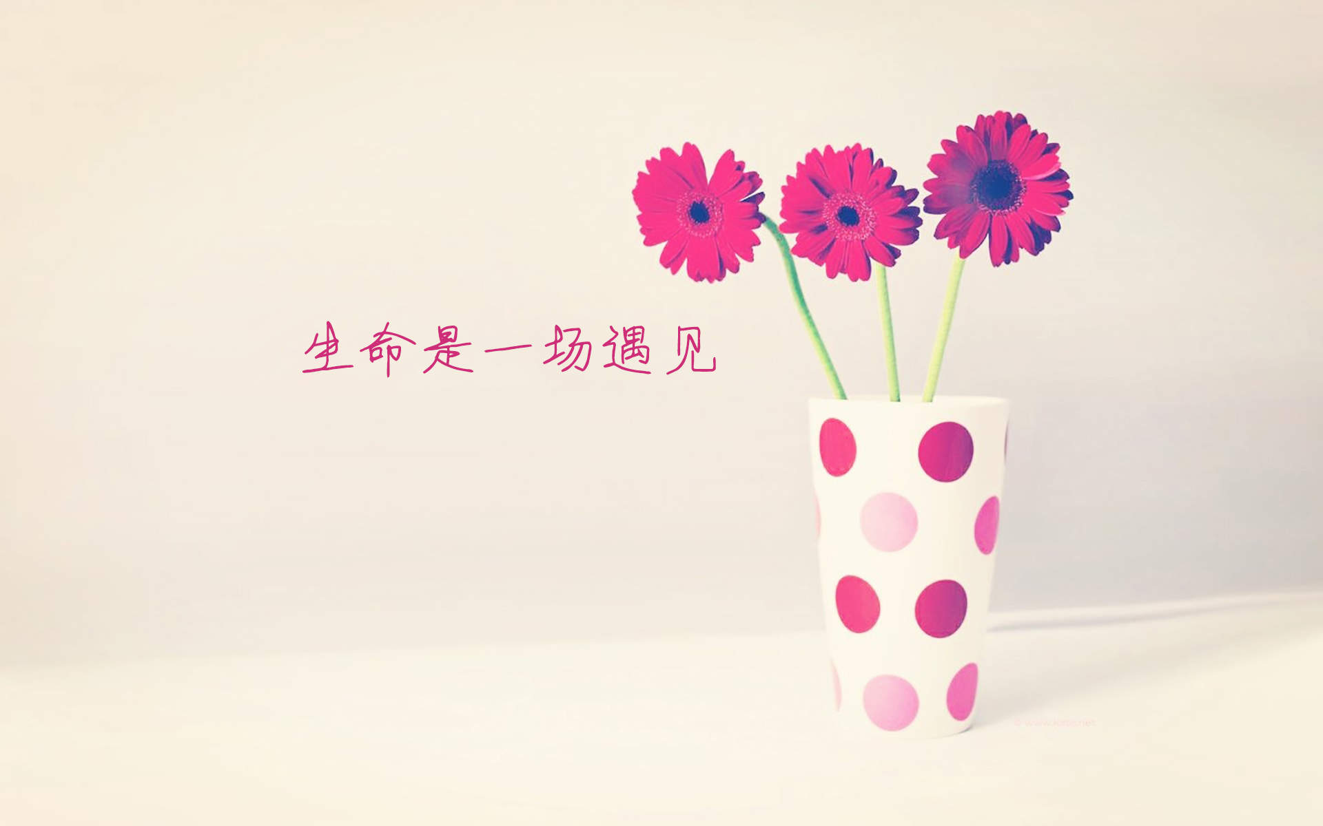 高清欧美动漫创意科幻场景唯美高清桌面壁纸图片