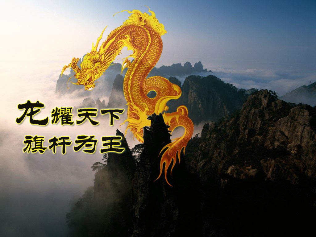戚薇粉色半穿西装甜酷图片图片