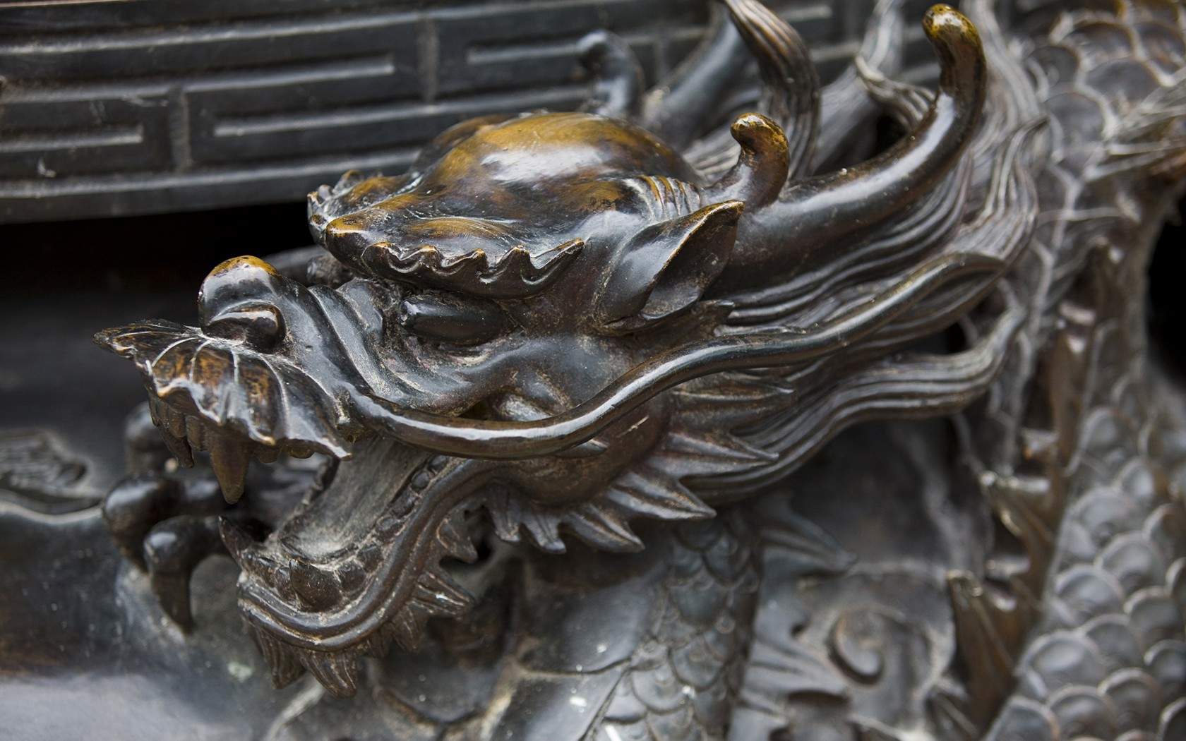 龙图片图片