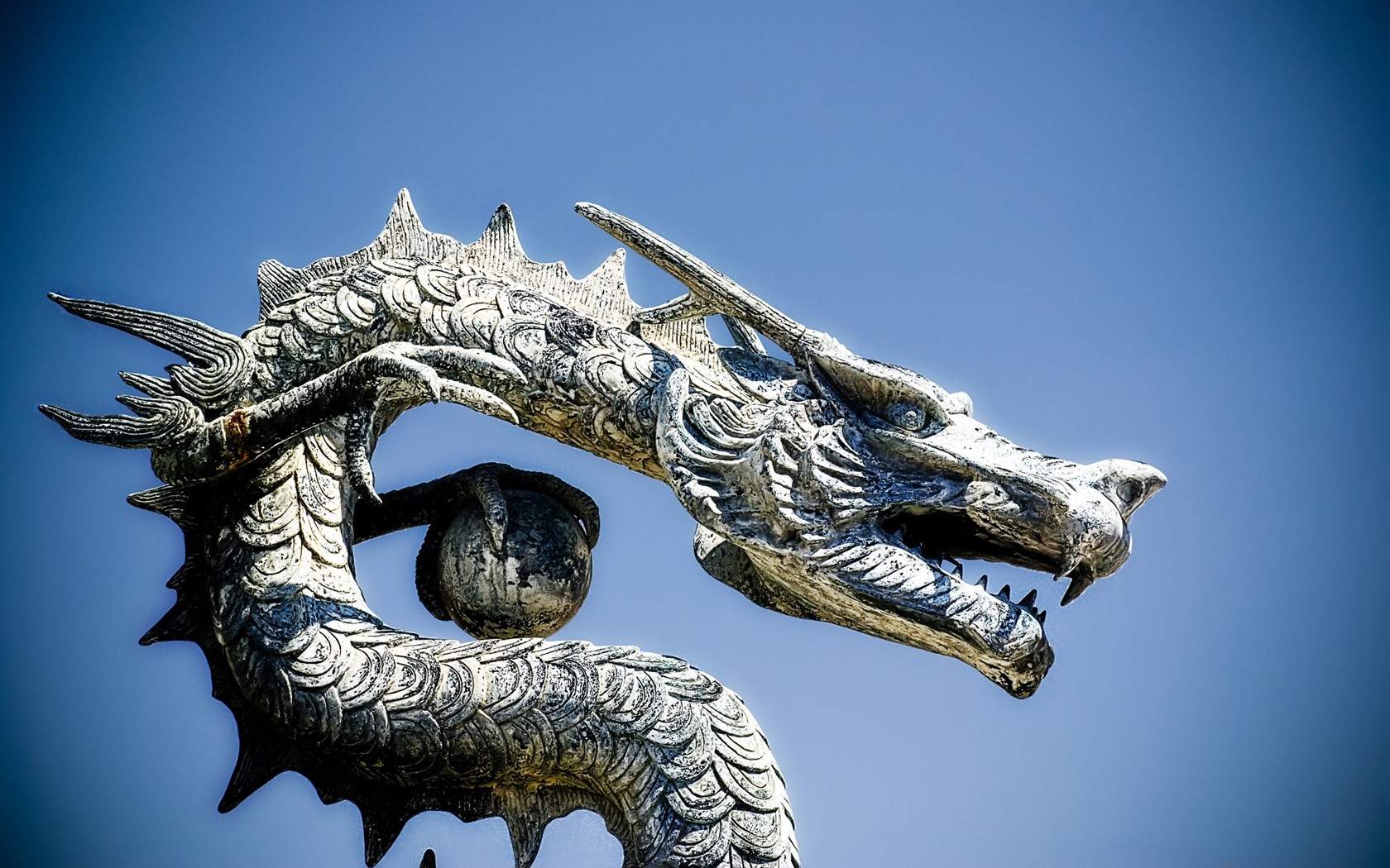 十二生肖中国龙高清摄影图片桌面壁纸图片