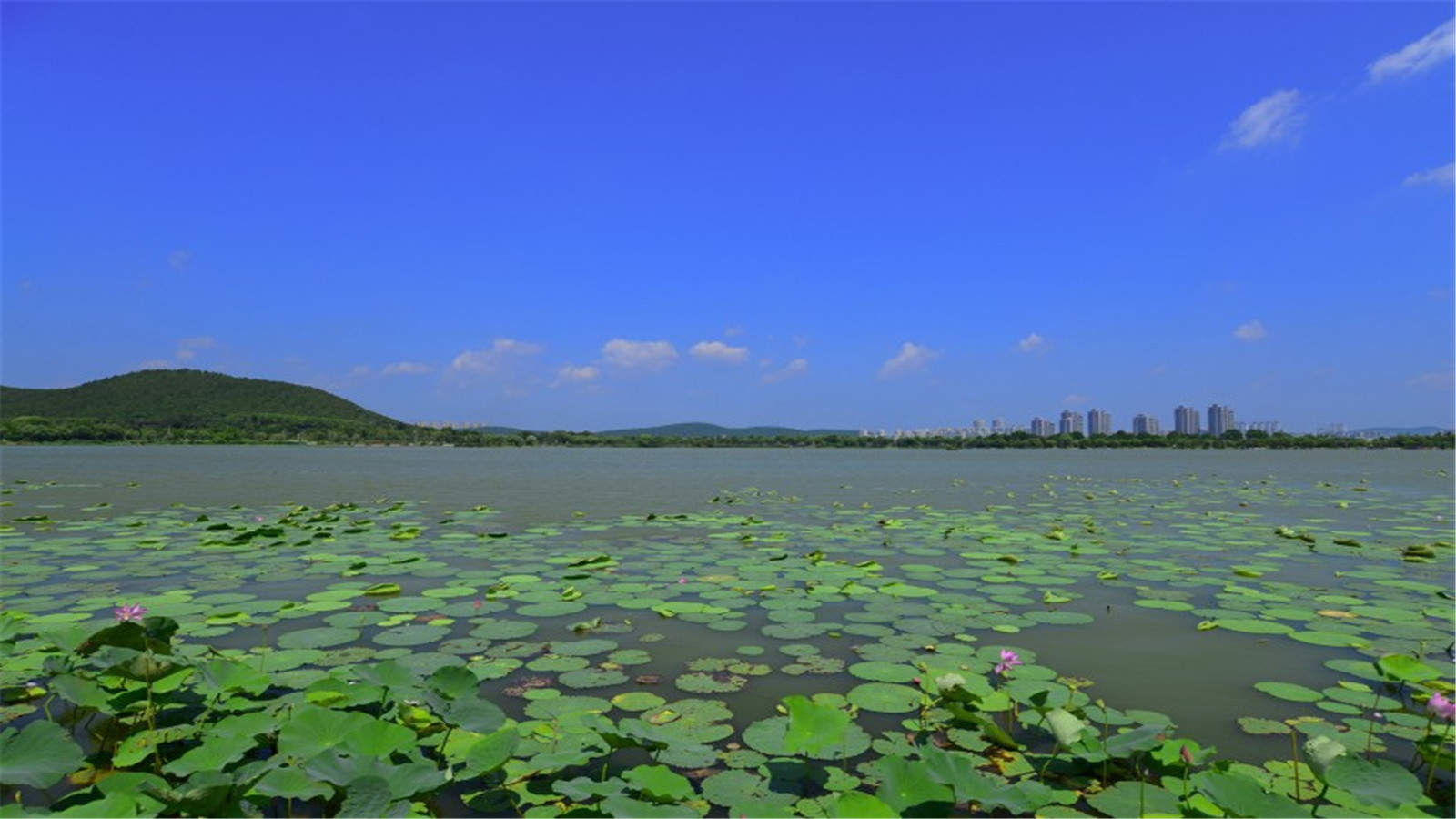 风景壁纸图片